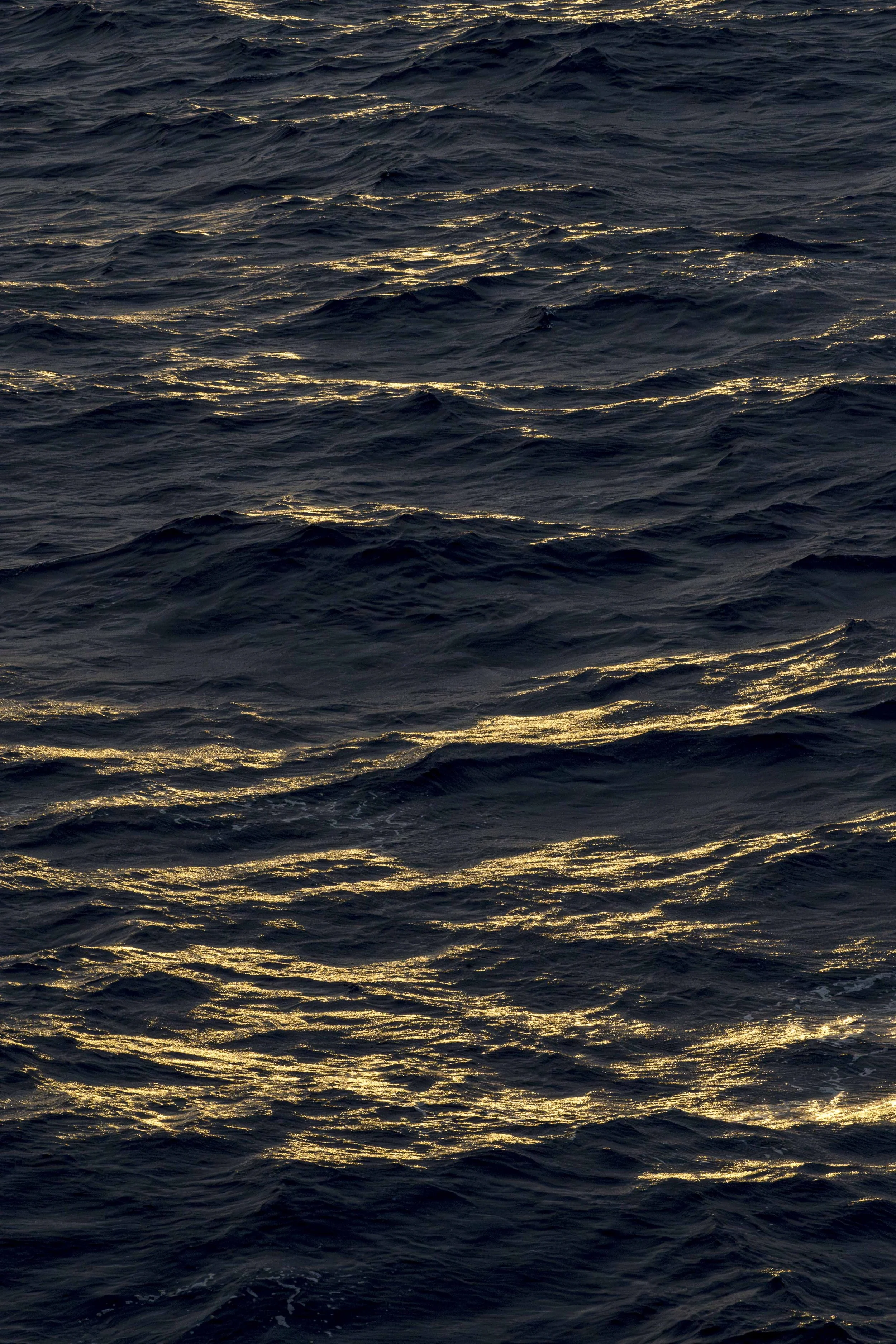 Reflections_1.jpg
