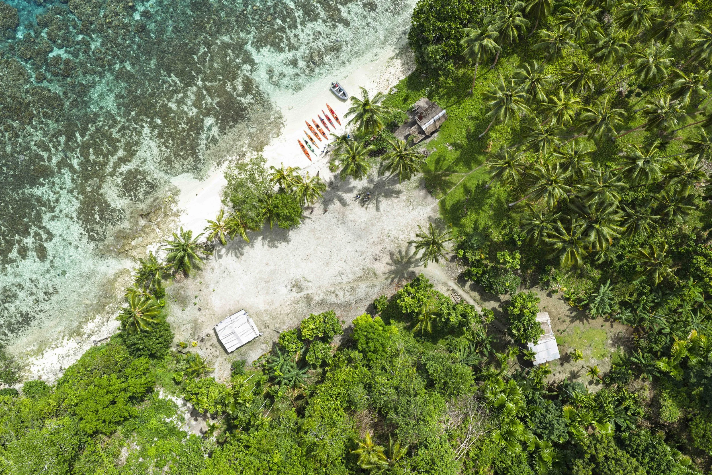 DJI Web123.jpg