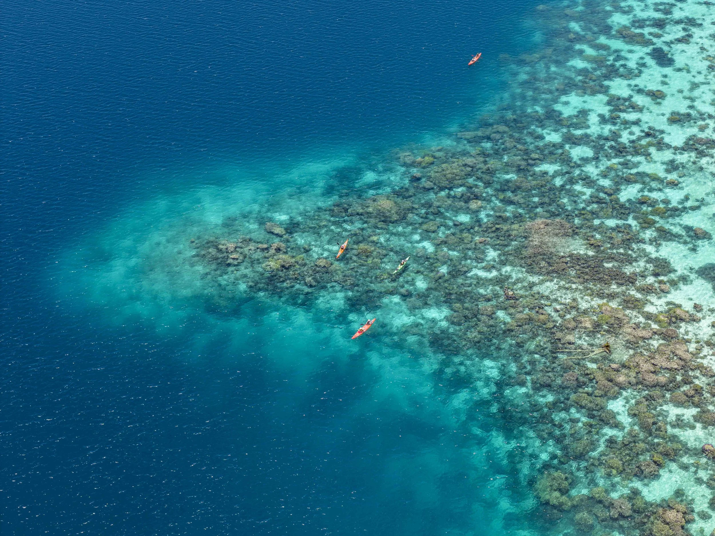 DJI Web119.jpg