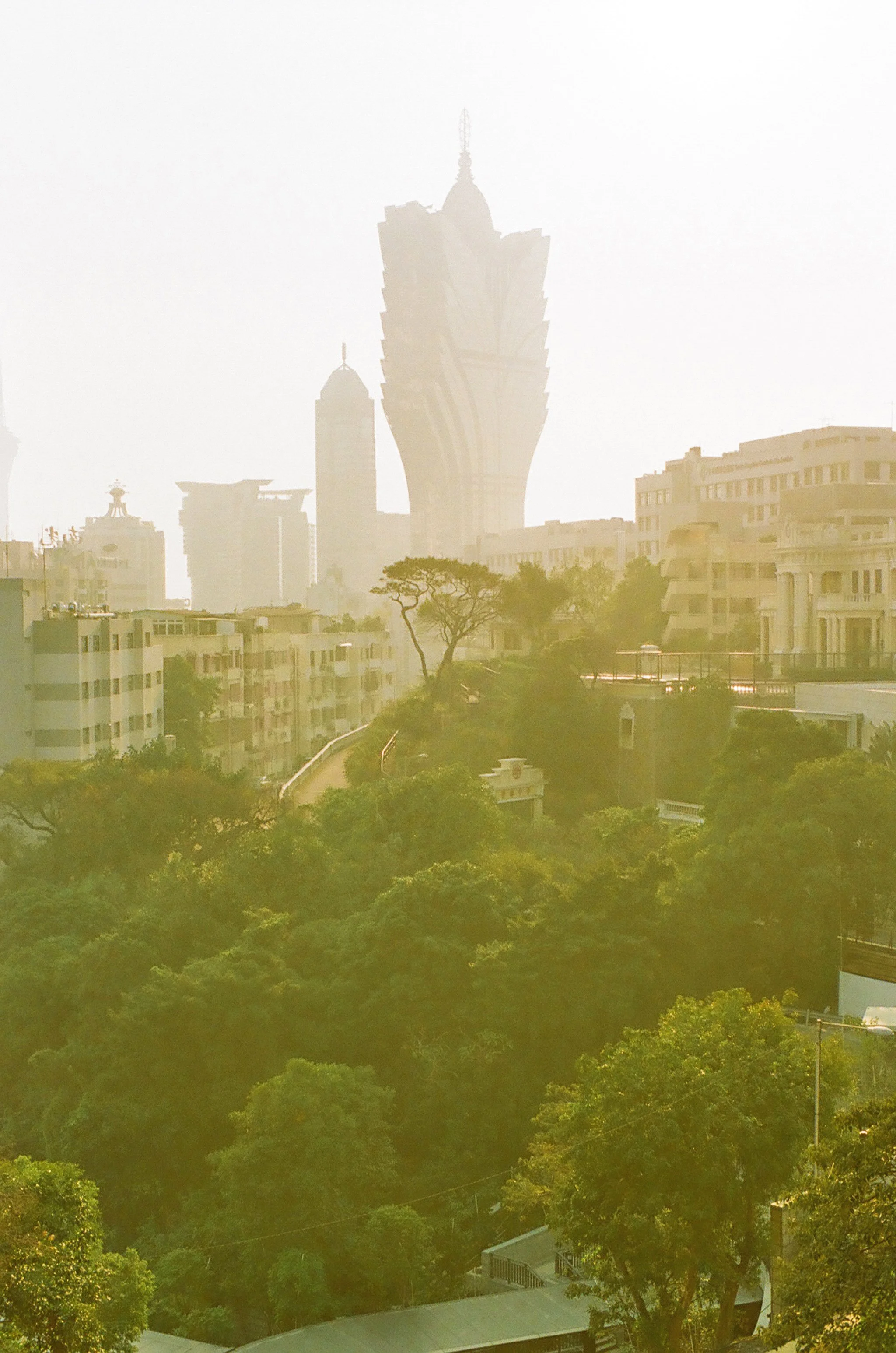 77430035 Processed.jpg