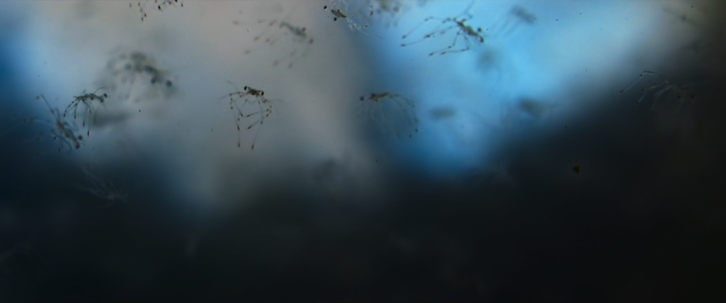 Screenshot 2025-06-25 at 11.25.43 AM.png