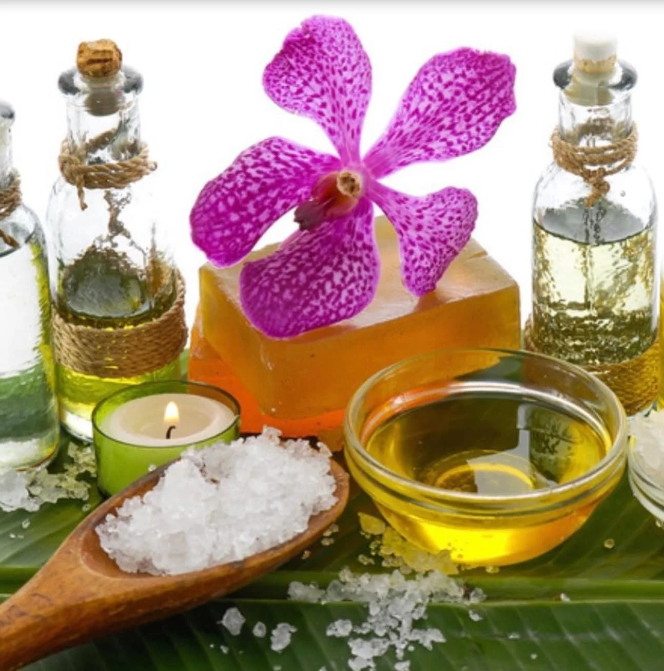 purple orchid flower