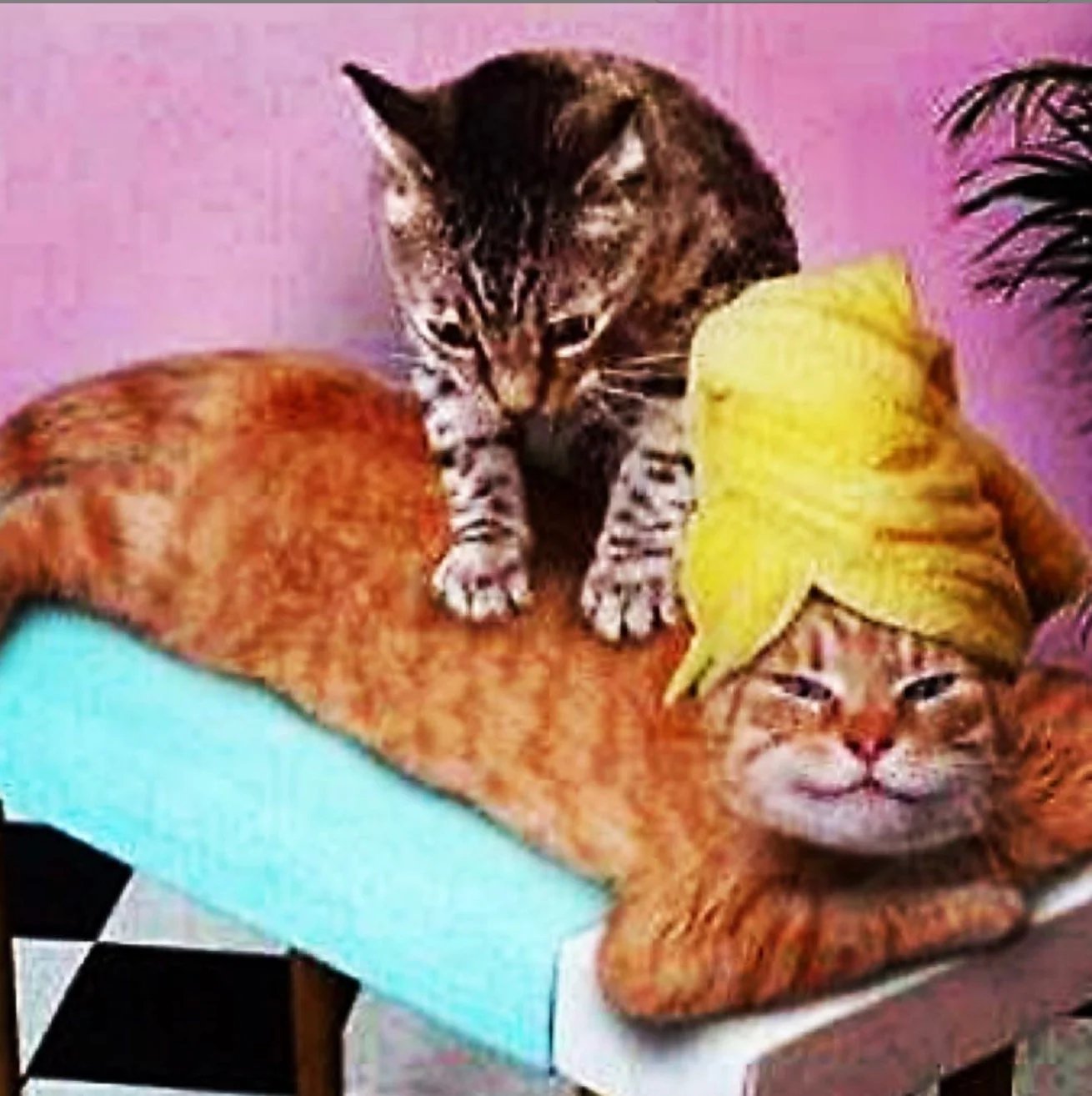 Self Care