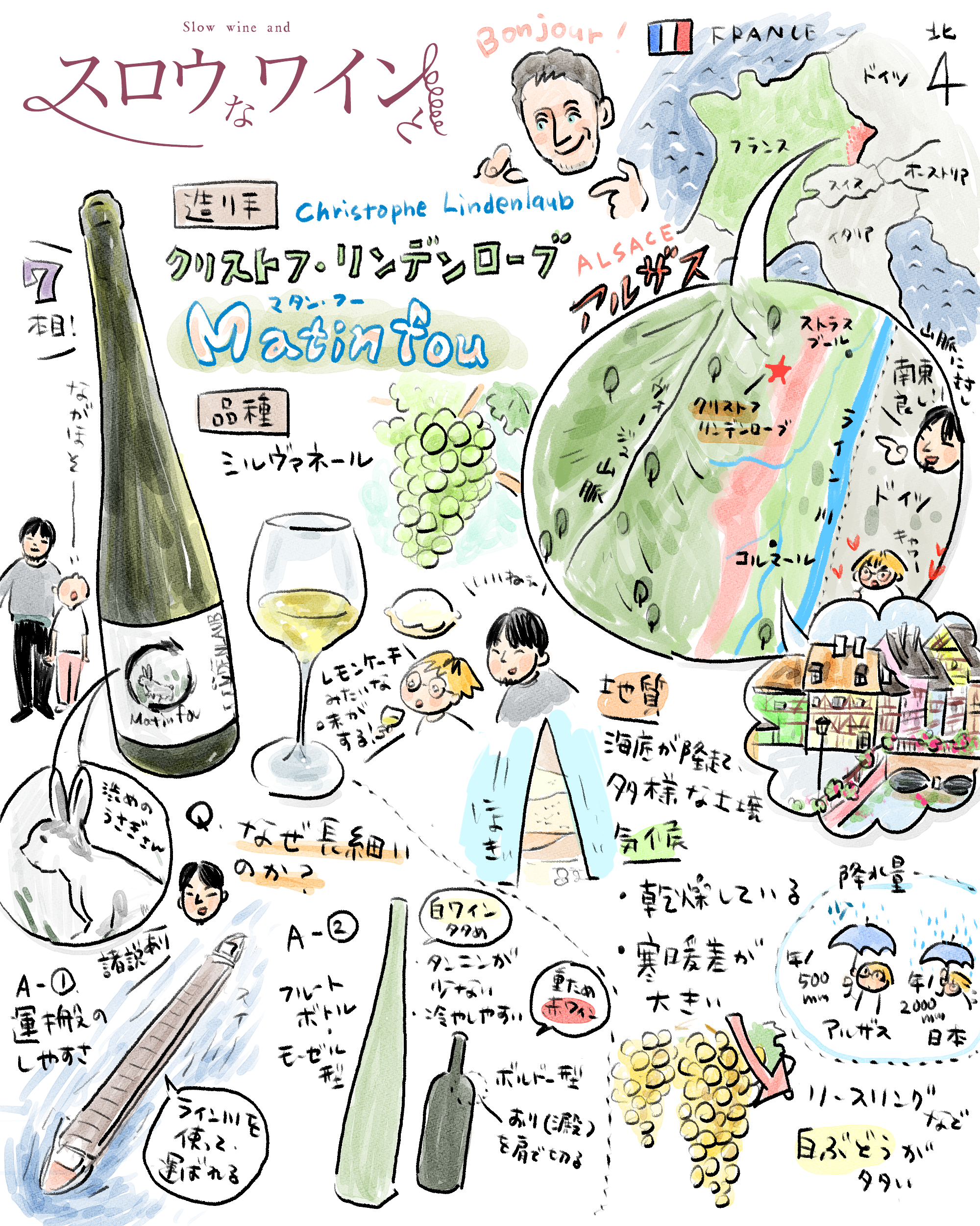 7_リンデンローブ-1.png
