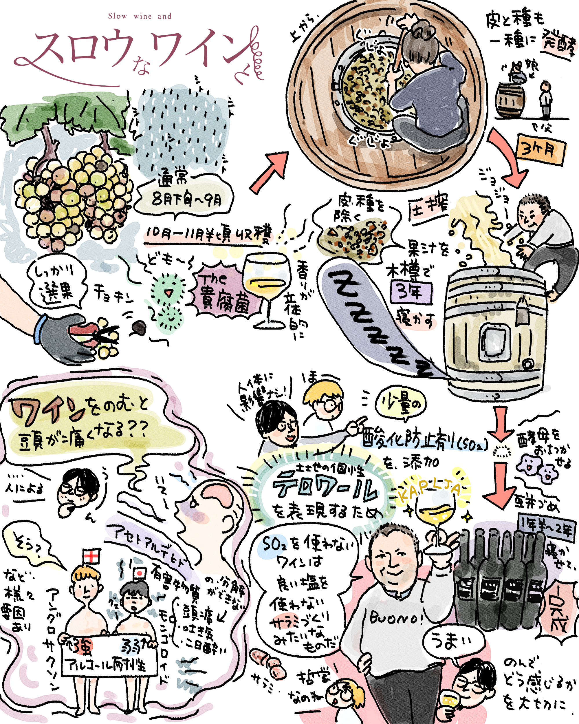 8_ダミアン-2.png