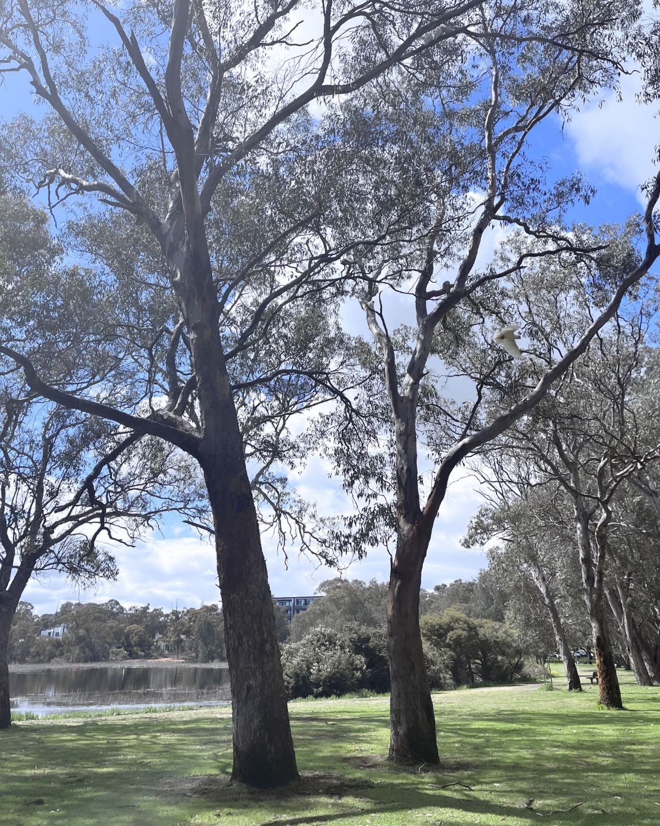 Stories for young readers need time to grow 🌱 Space, patience, and a bit of trust in the process matter more than rushing.

If you&rsquo;re working on children&rsquo;s, middle grade, or YA fiction, tell me what stage you&rsquo;re at right now ✨