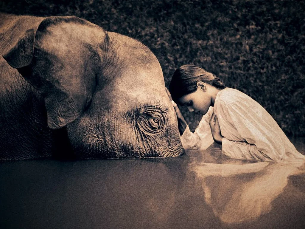 Elephant and Girl.jpg