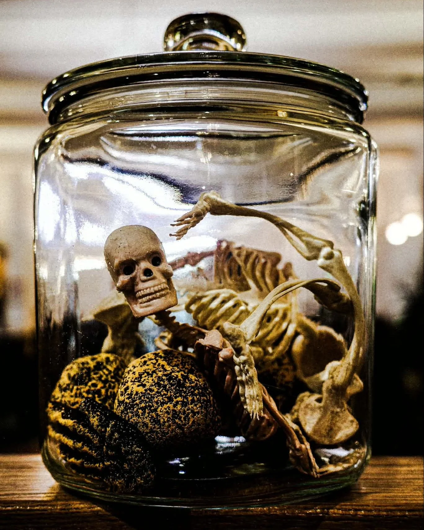👻🎃🦇 Things are starting to get a little spoooooky around here... 🦇🎃👻