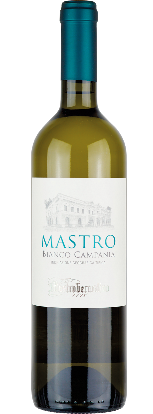 IGT MASTRO BIANCO CAMPANIA 2024 MASTROBERARDINO