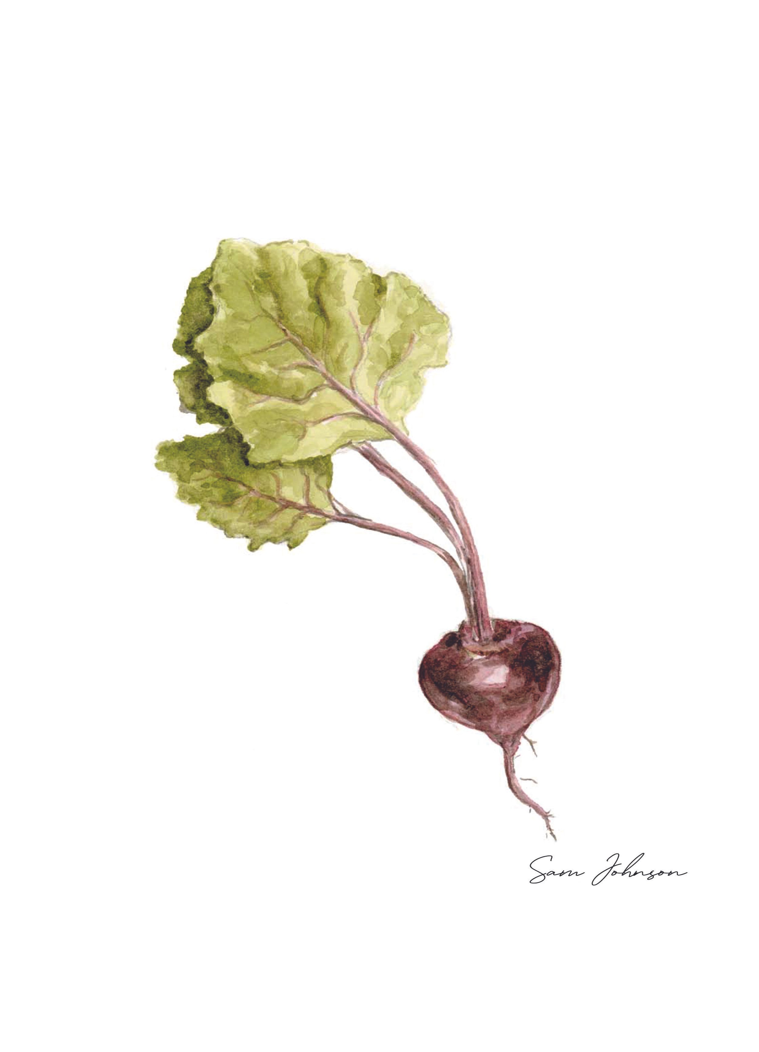 beetroot.jpg