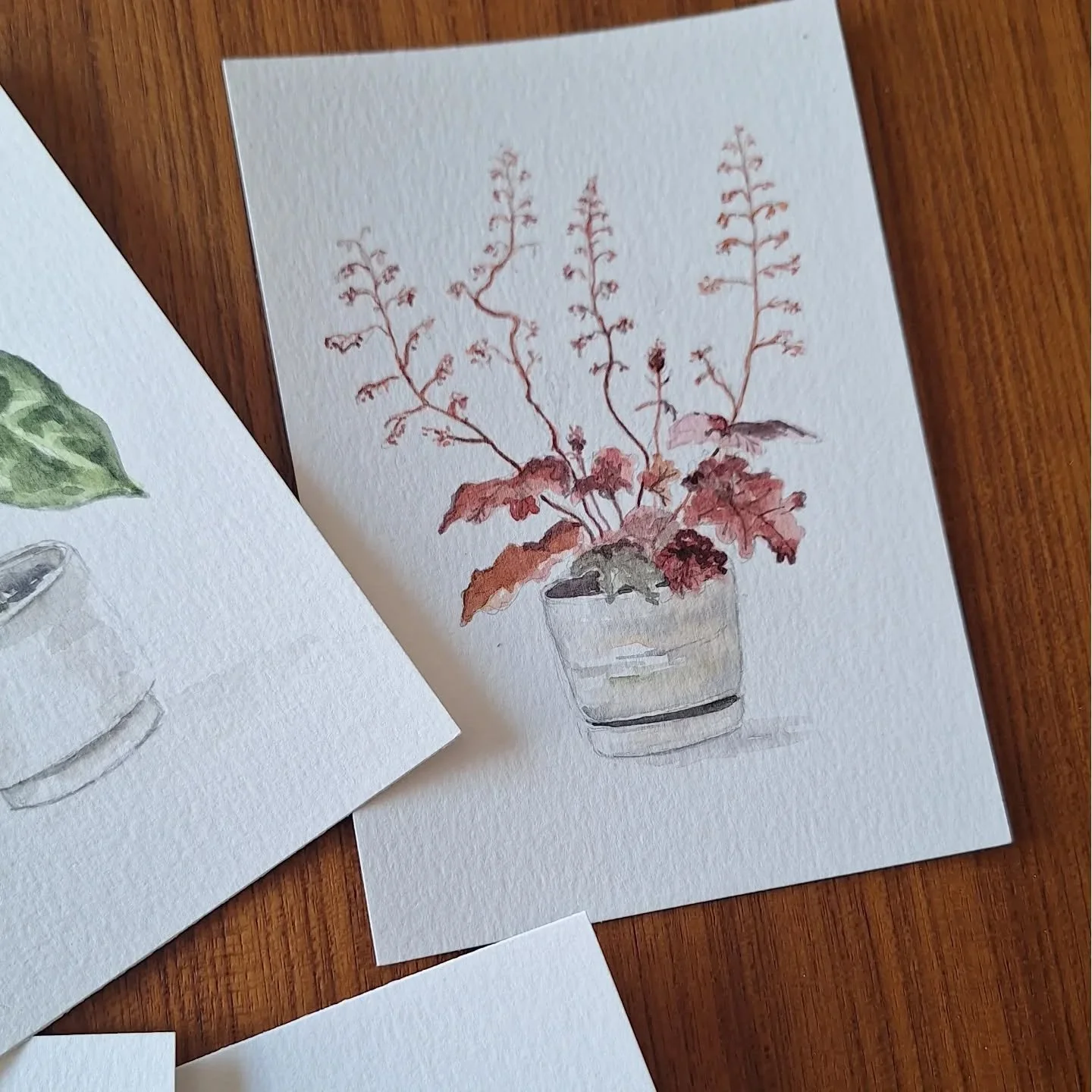 Another day. 

Another house plant

WIP

#houseplant #WatercolourArtist #watercolourplants