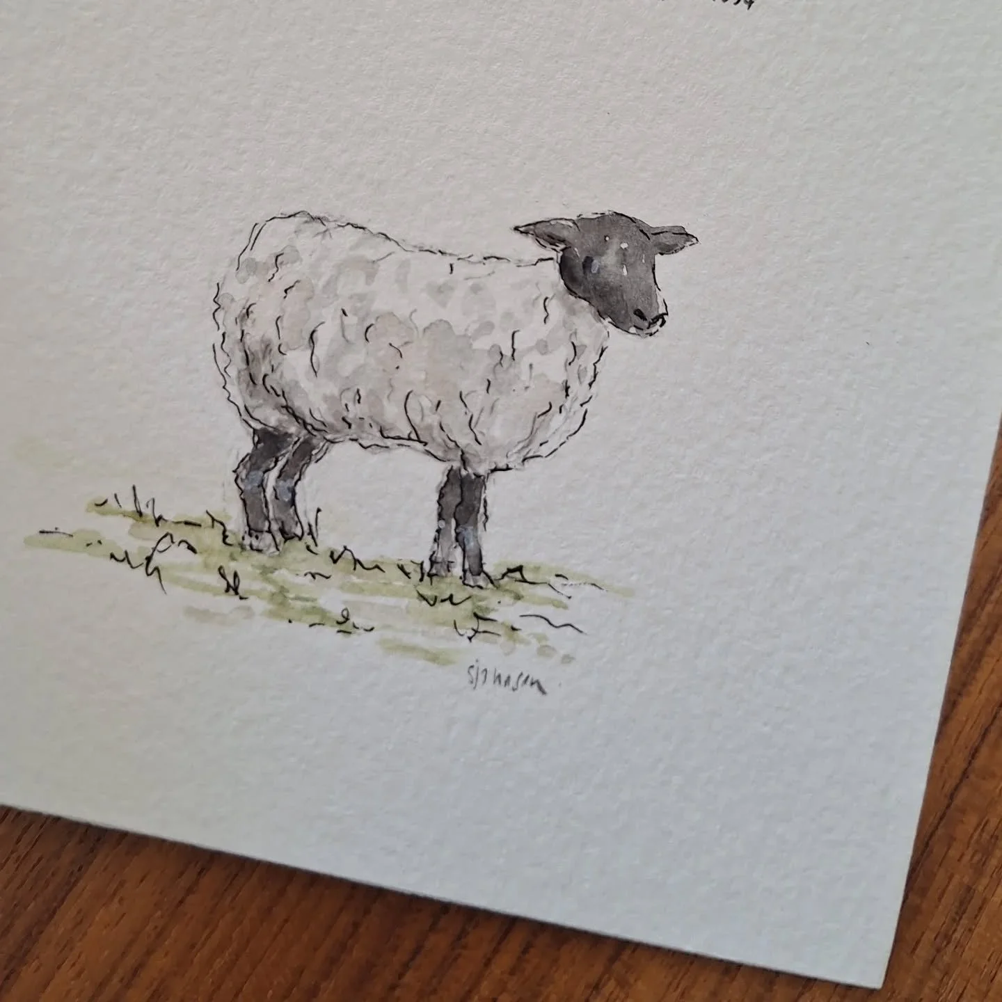 Today's post is a peek at tomorrow's Psalm Sunday 

#sheep #watercolourruralanimals ##WatercolourArtist #watercolourpaintings