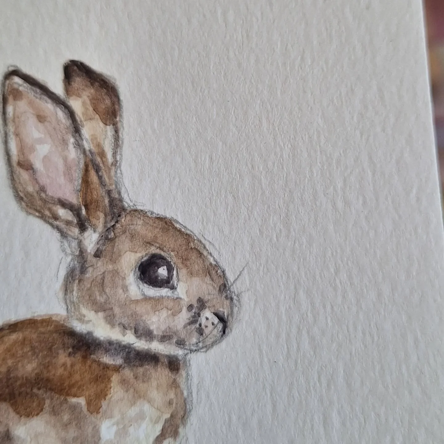 Sorry grandpa... 🚜

I've spent the last few days painting rabbits, and though they're cute, theres something about this that feels a bit...

Wrong 😬

As a farmers daughter, I grew up hearing stories of the rabbits plagues and bare paddocks that nea