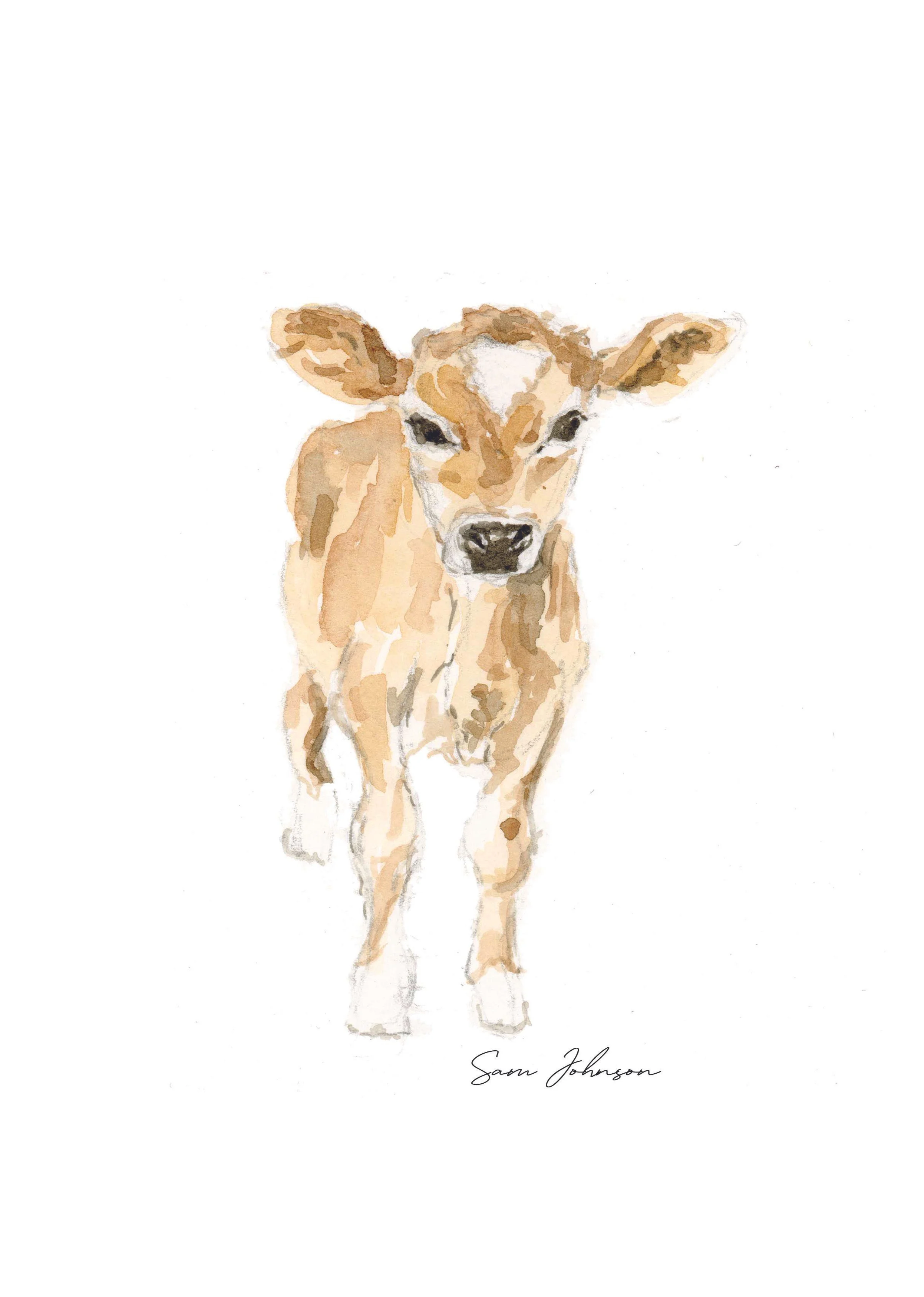 CARD Calf