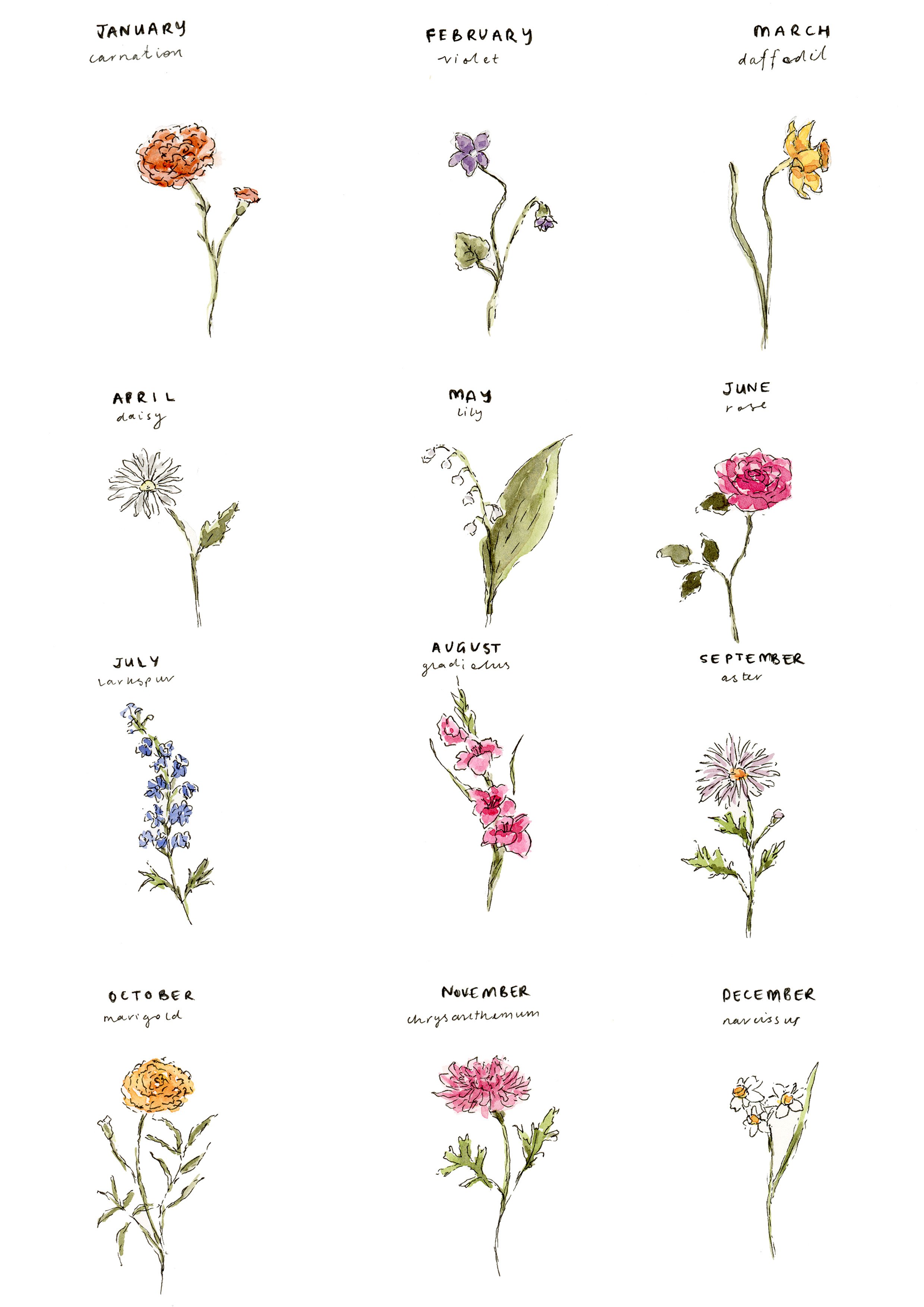 flowers of the month BG removed final.jpg