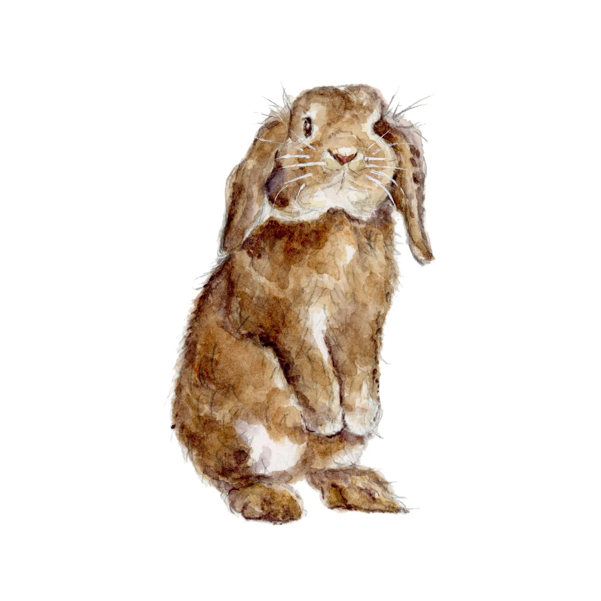 Hand-Painted Watercolor Rabbit #2 - Easter Special