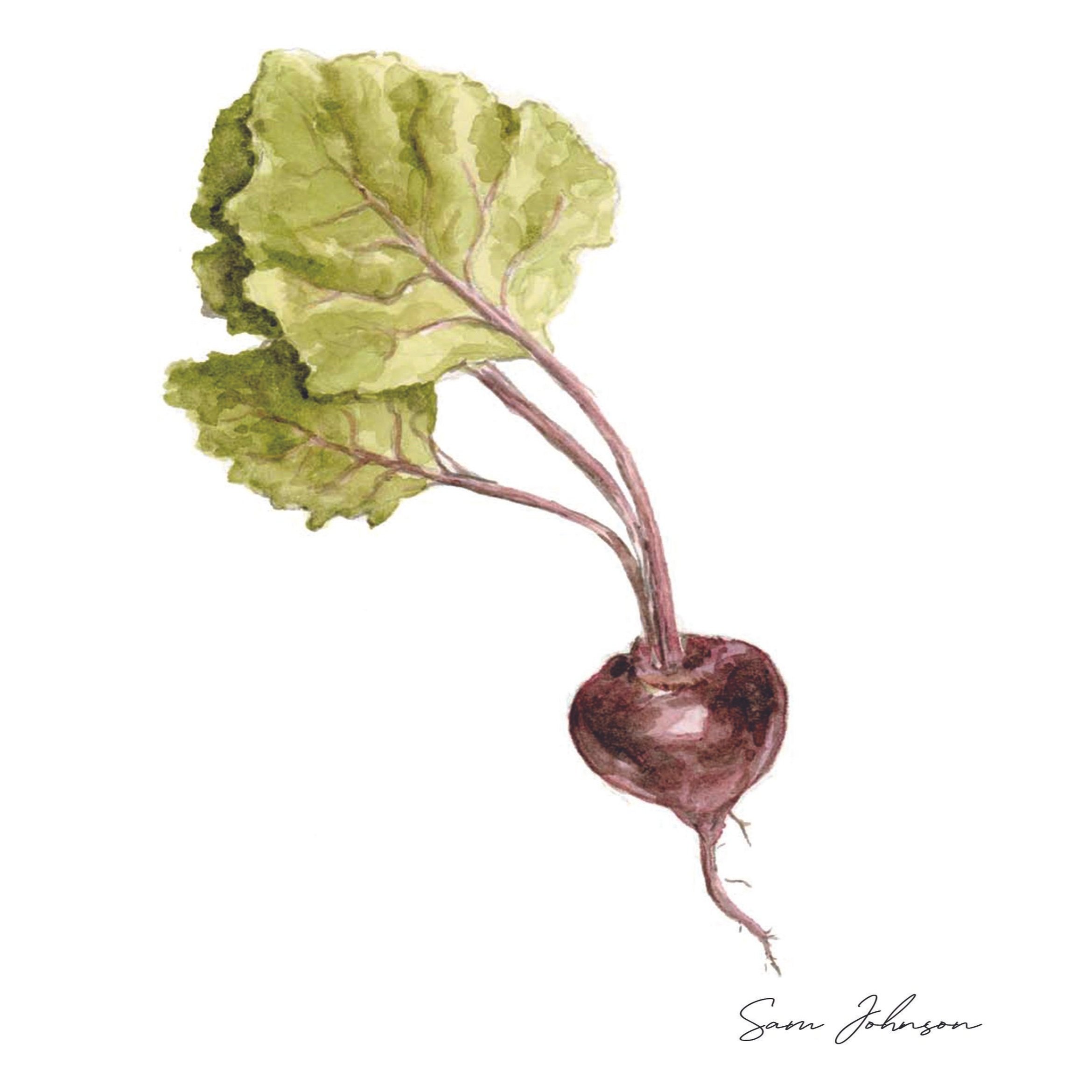 beetroot.jpg