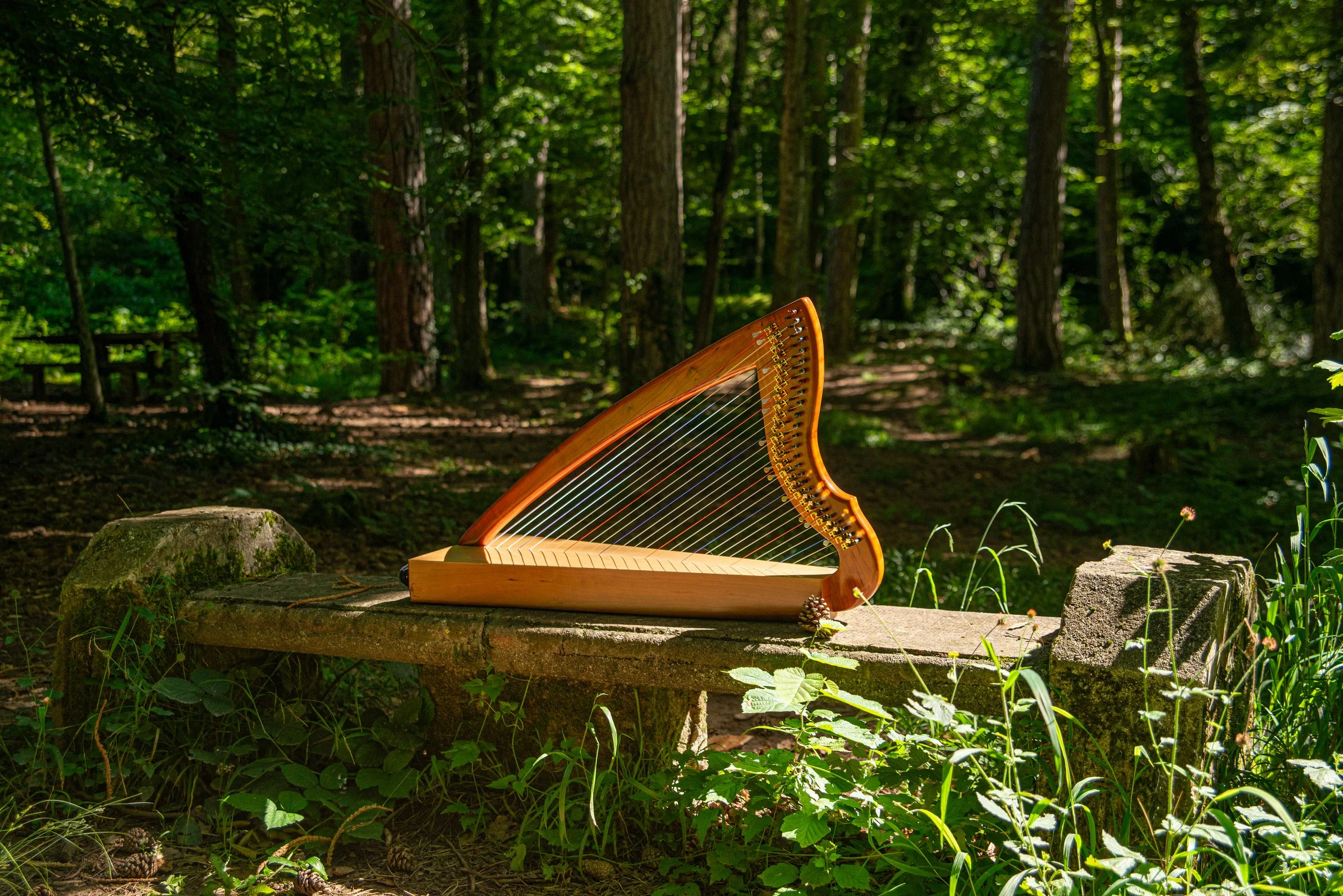 Rêverie aux sons de la harpe