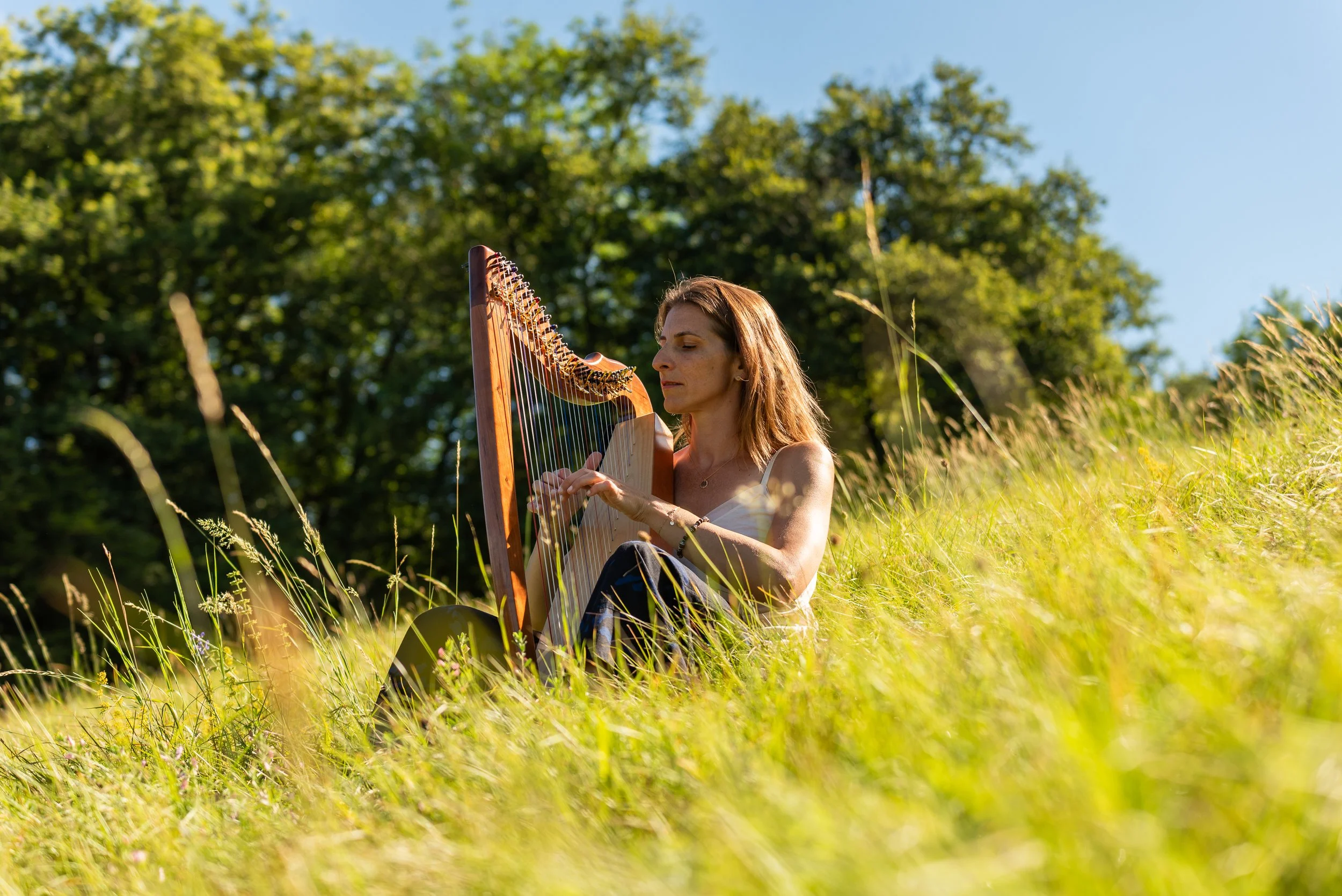 petite harpe dans la nature avec harpiste
