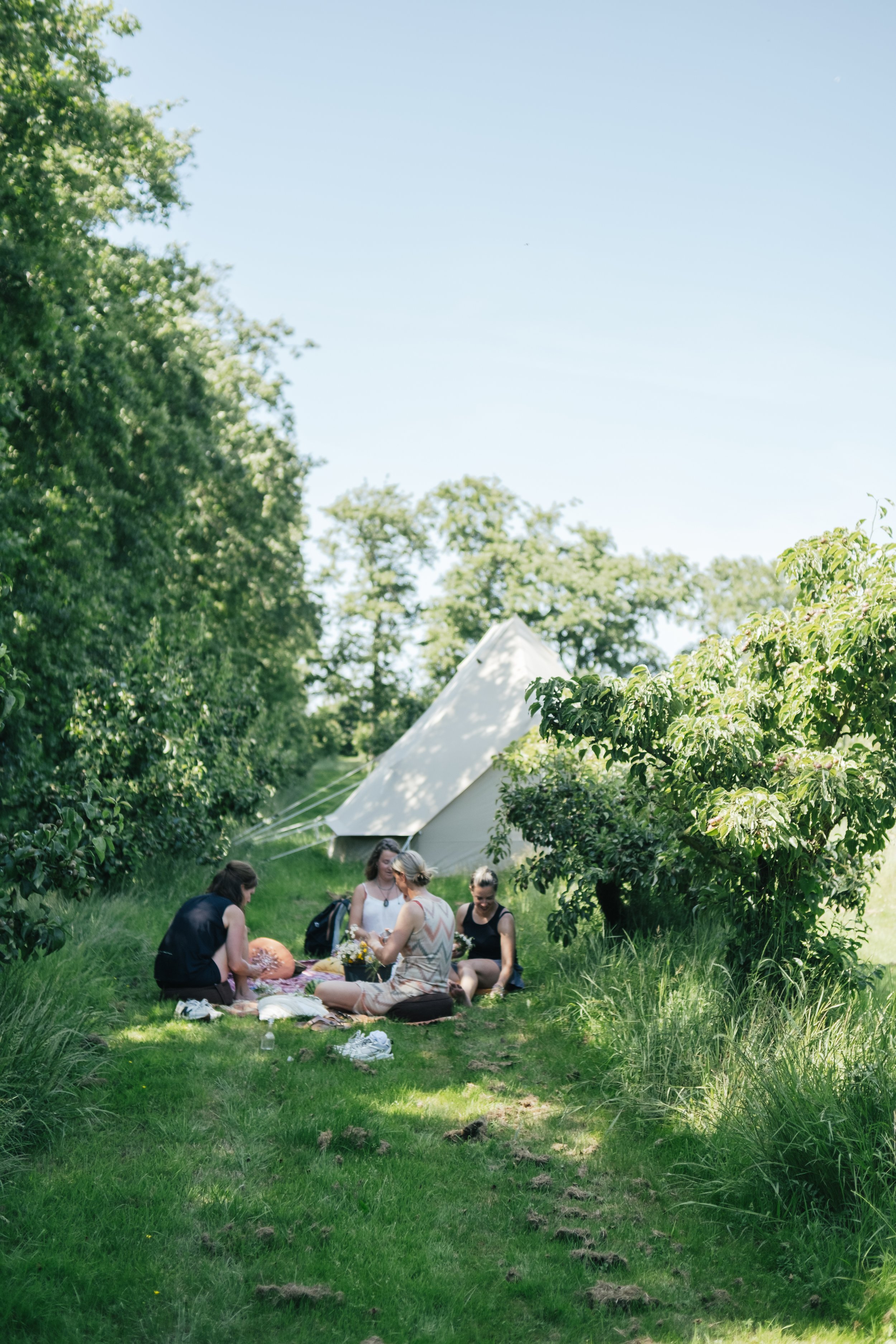 slow flow yoga texel