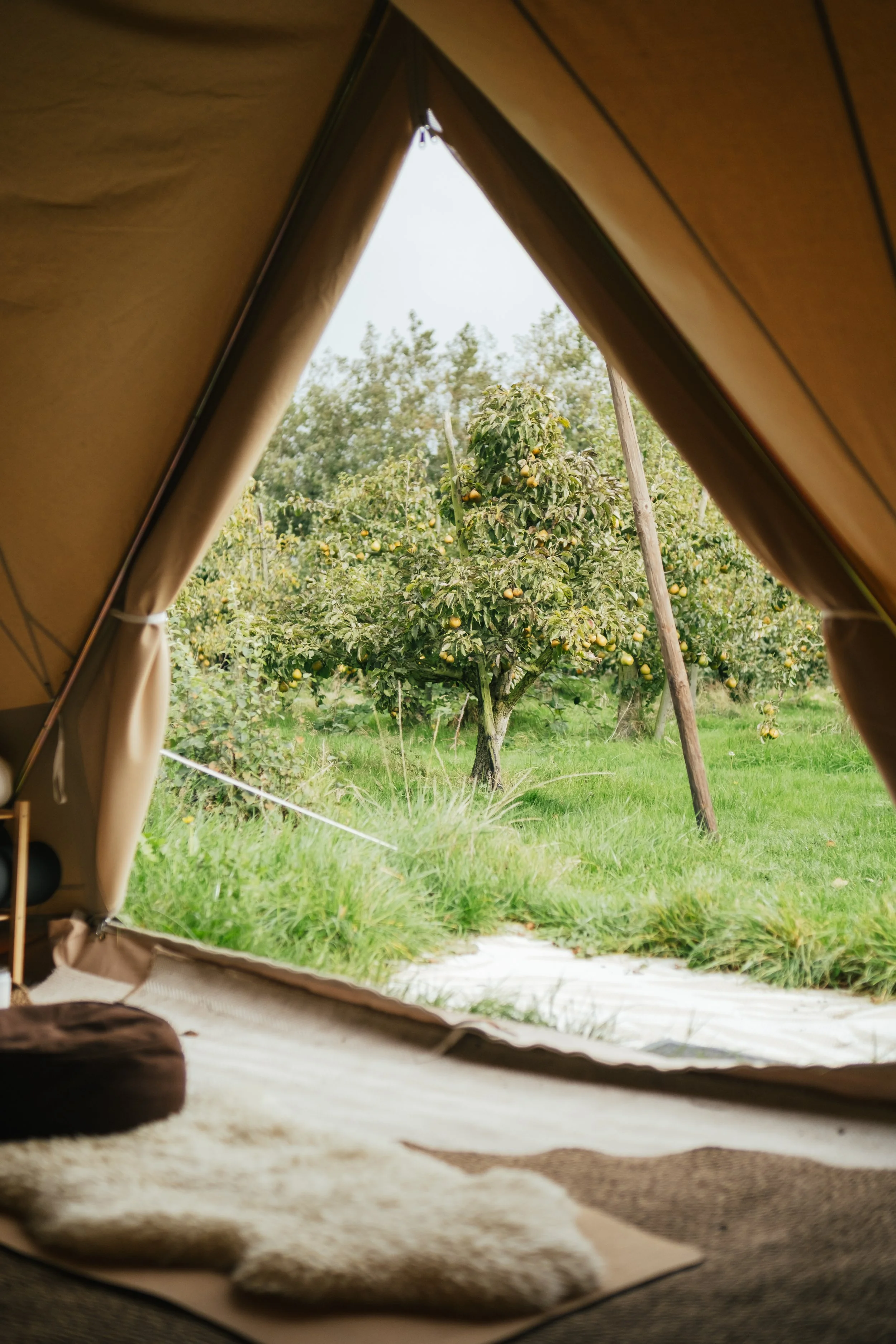 Buiten yoga op Texel: slow flow & yin yoga in de natuur | Yoga & Retreats Texel