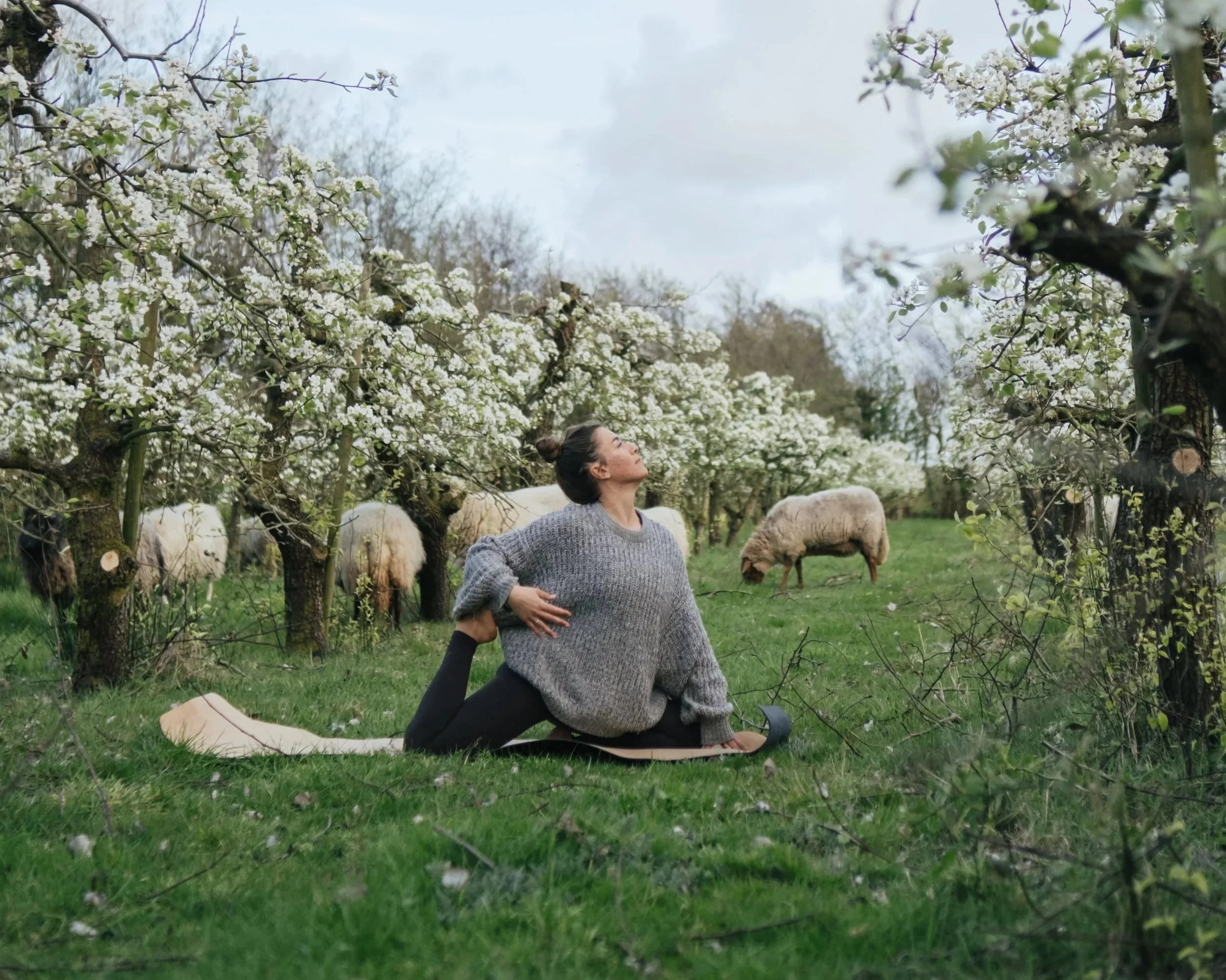 Wat is yin yoga? Ontdek de kracht van vertragen