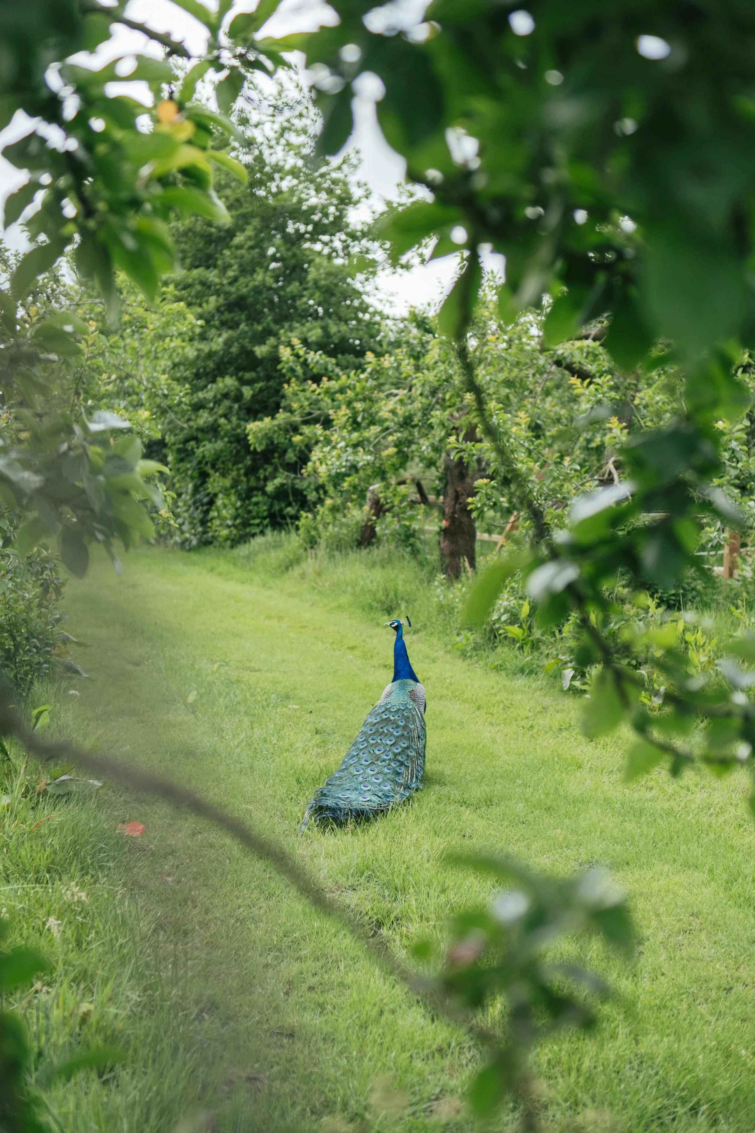 Moment van verstilling tijdens een yoga retreat Texel in de natuur