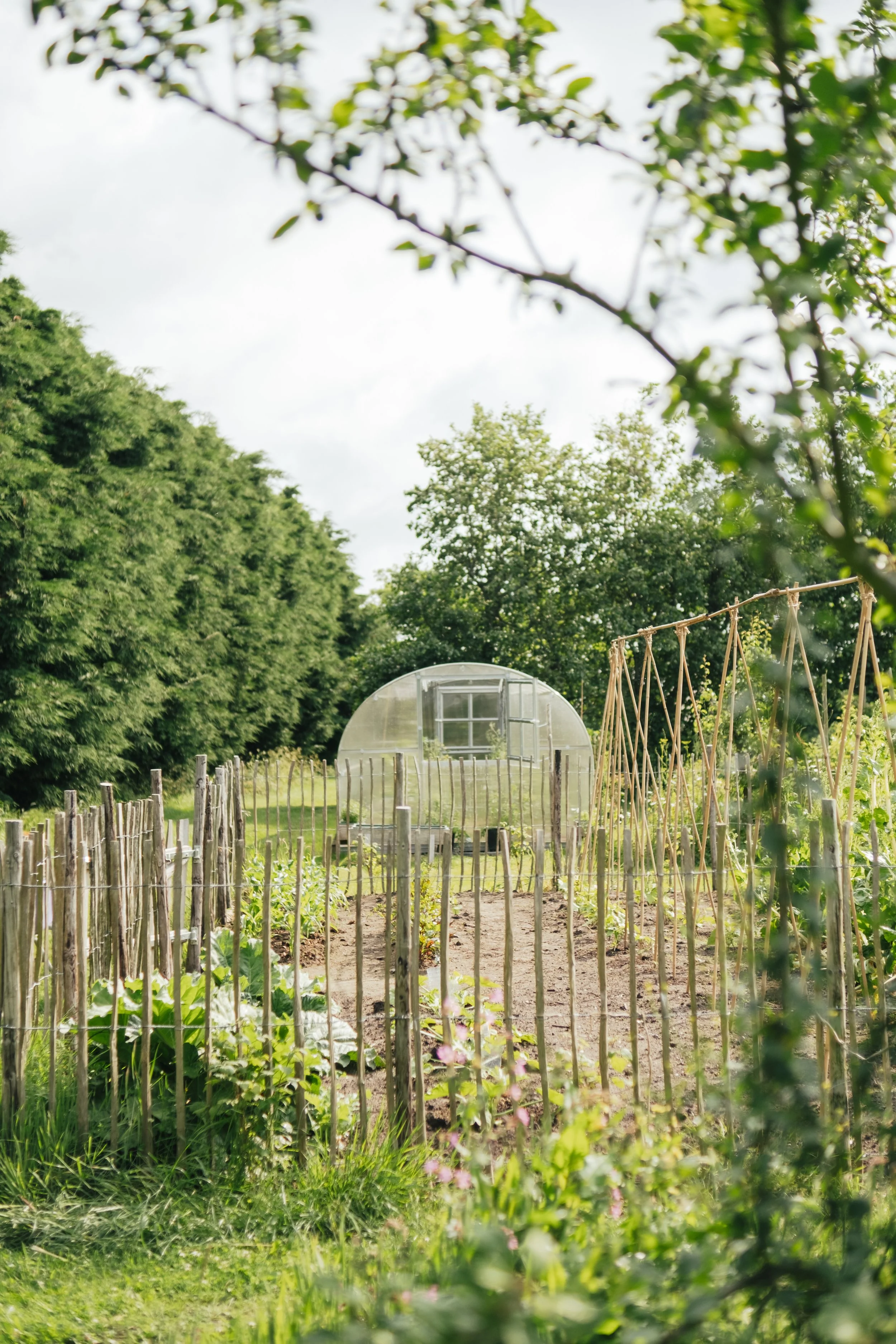 Rustgevende natuur in de Waelde Tuin Texel waar retreats op Texel plaatsvinden