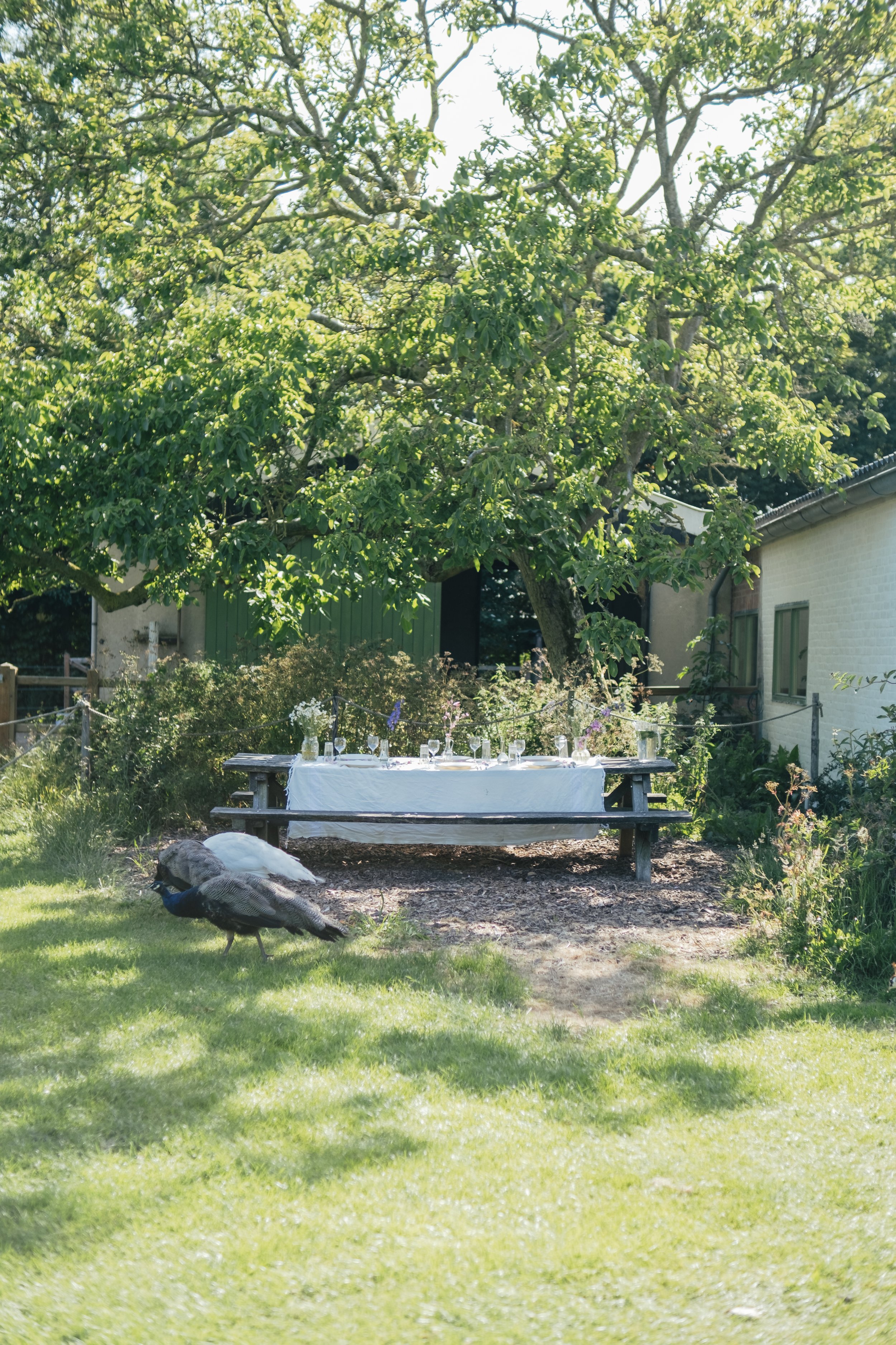 Intieme vrouwencirkel tijdens een retreats op Texel