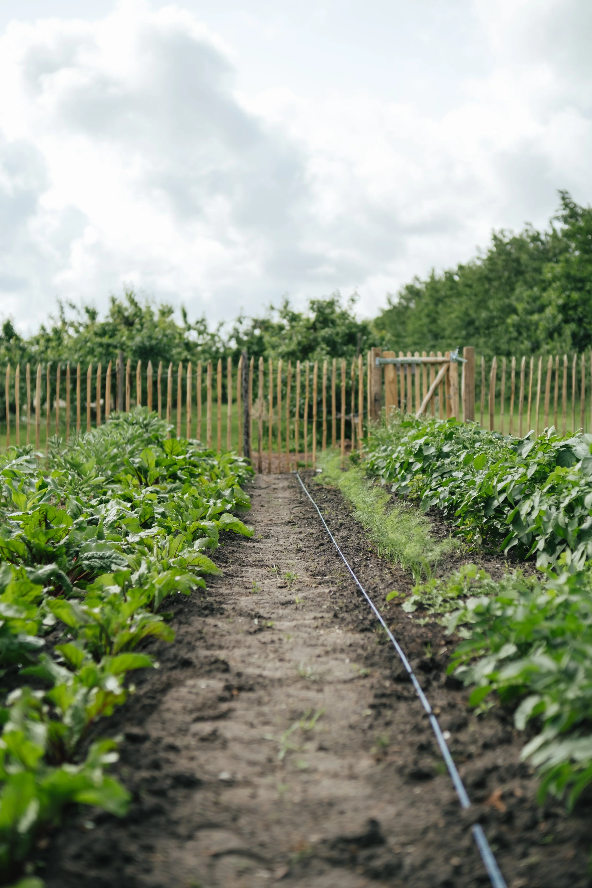 De_Waelde_Tuin-9.jpg