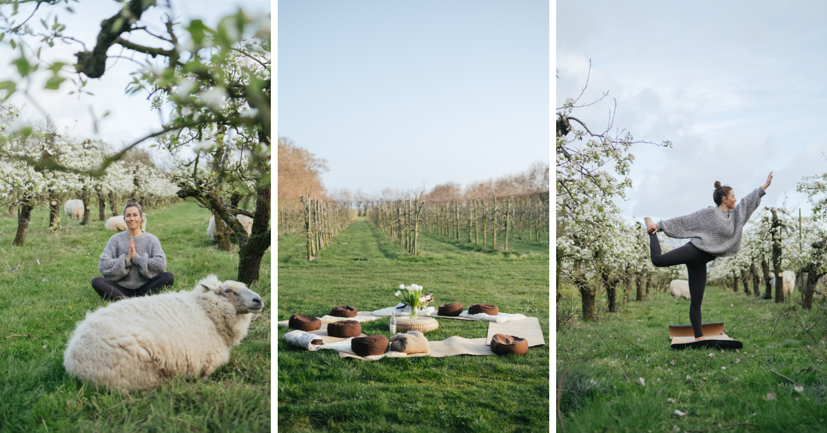 verbind met de natuur op Texel door yoga