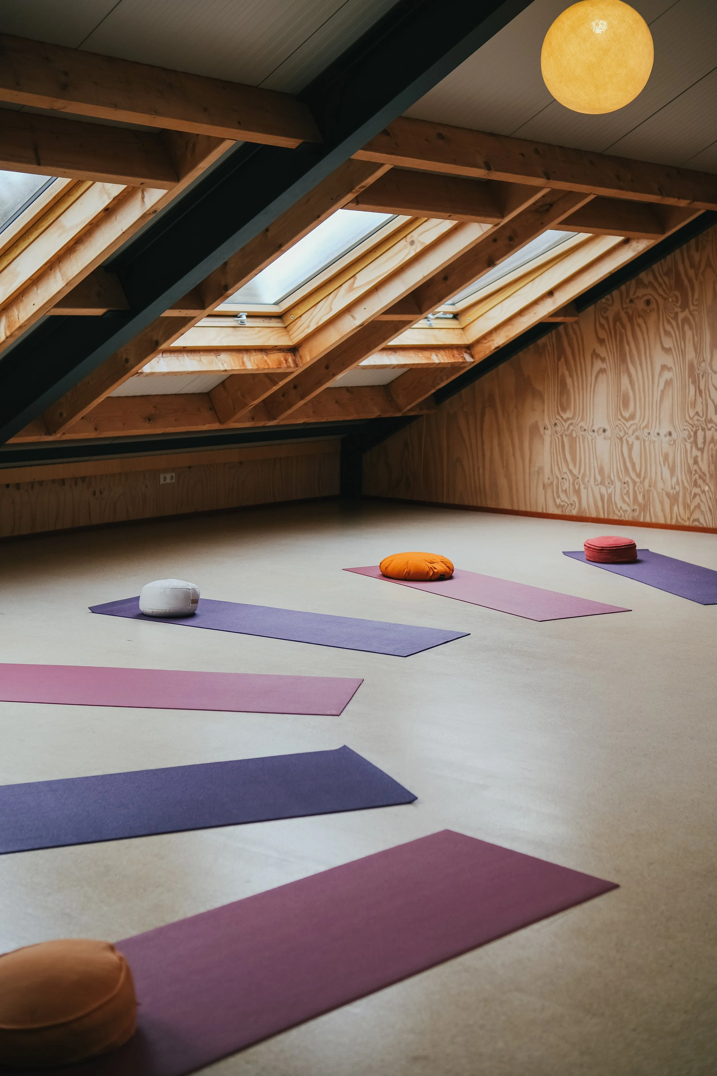 Meditatie en yoga op Texel