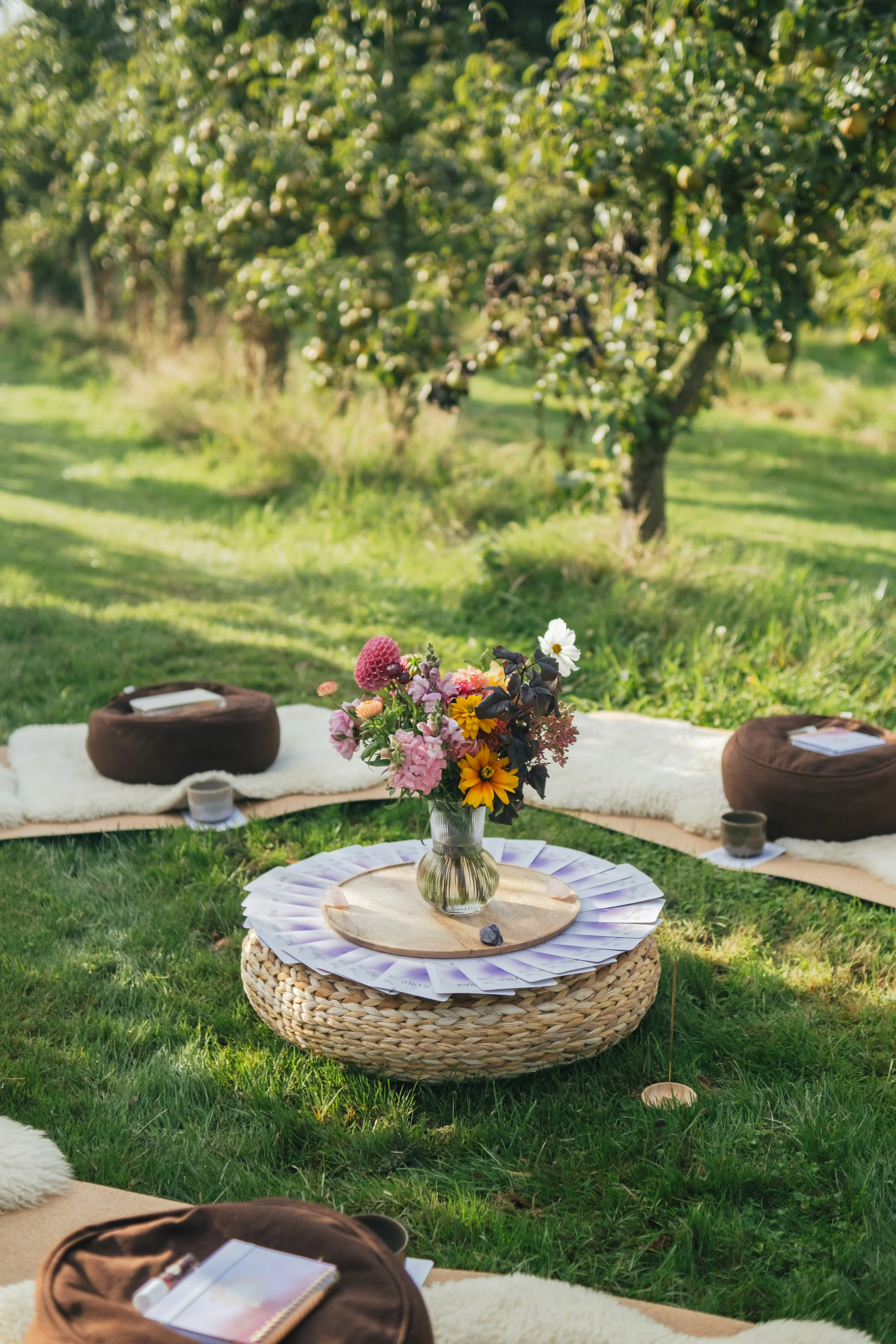 Privé retreat op Texel: privé yoga retreat in de natuur | Yoga & Retreats Texel