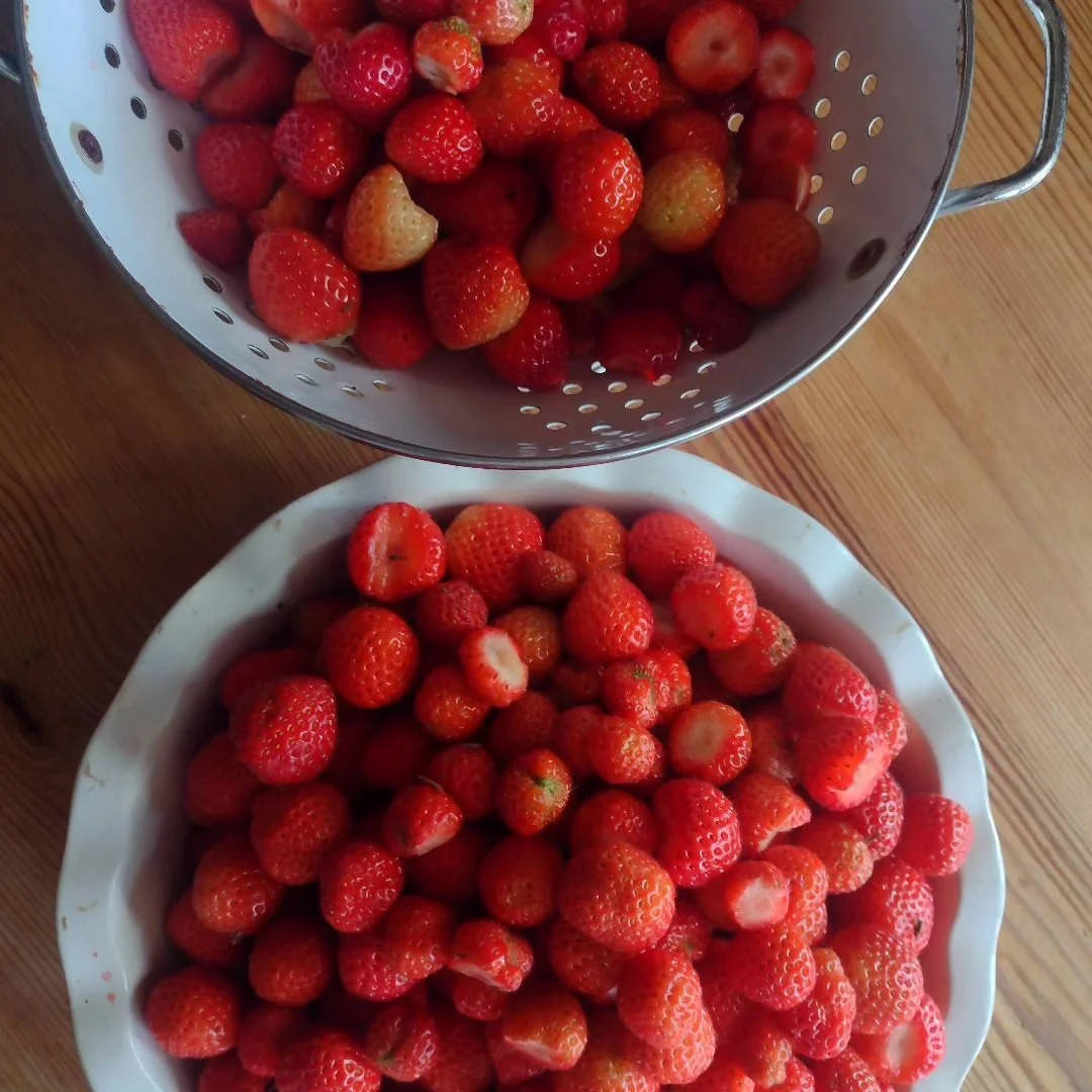 Love this time of year. I wish I could share their perfume with you, too!