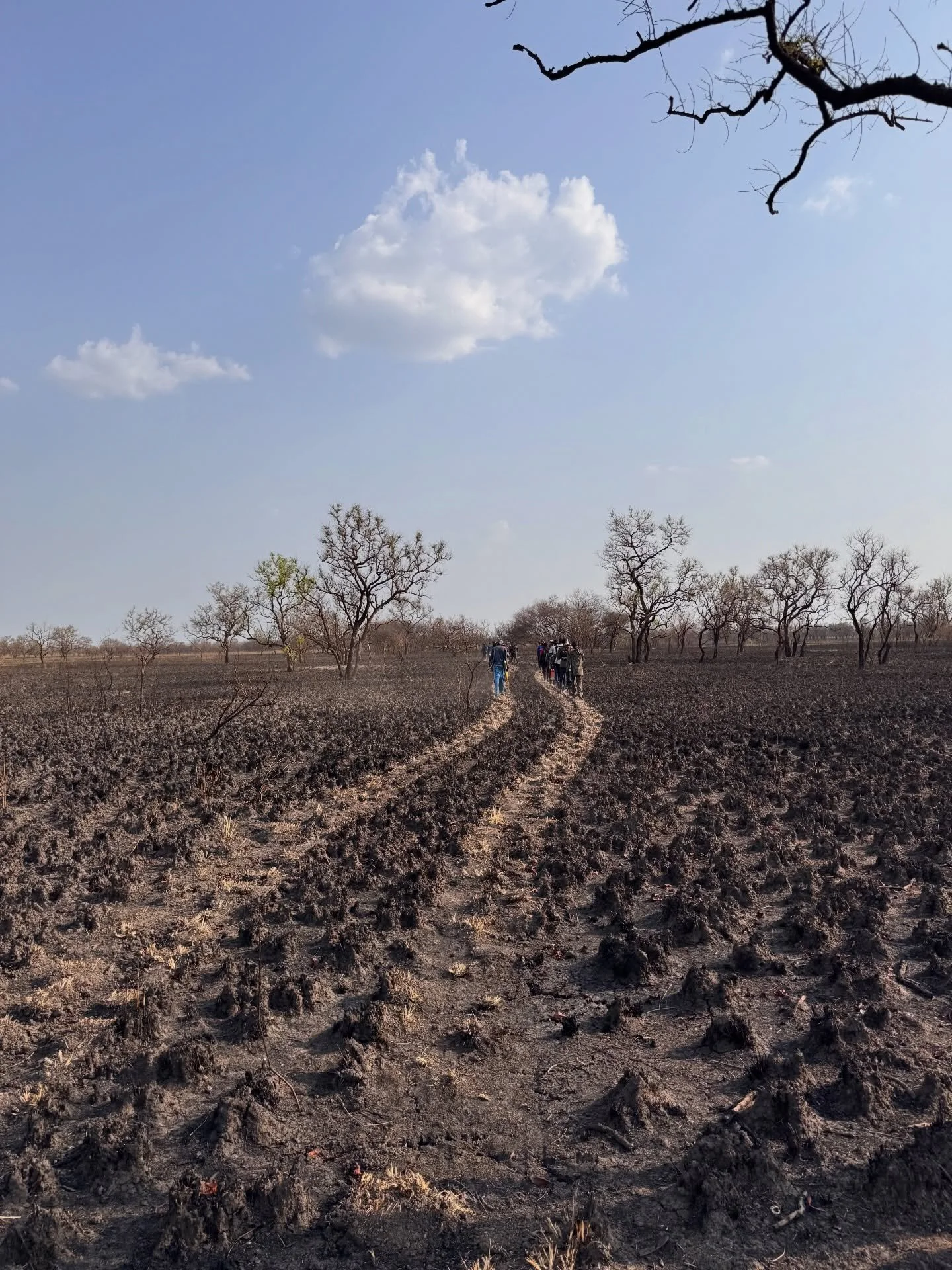 Day 4:

The sun (briefly) abandoned the team from Makol Cuei yesterday as dry water point followed dry water point. Today brought the usual scorching heat &mdash; and growing pressure on already thin supplies.

By late morning, it was clear that hope
