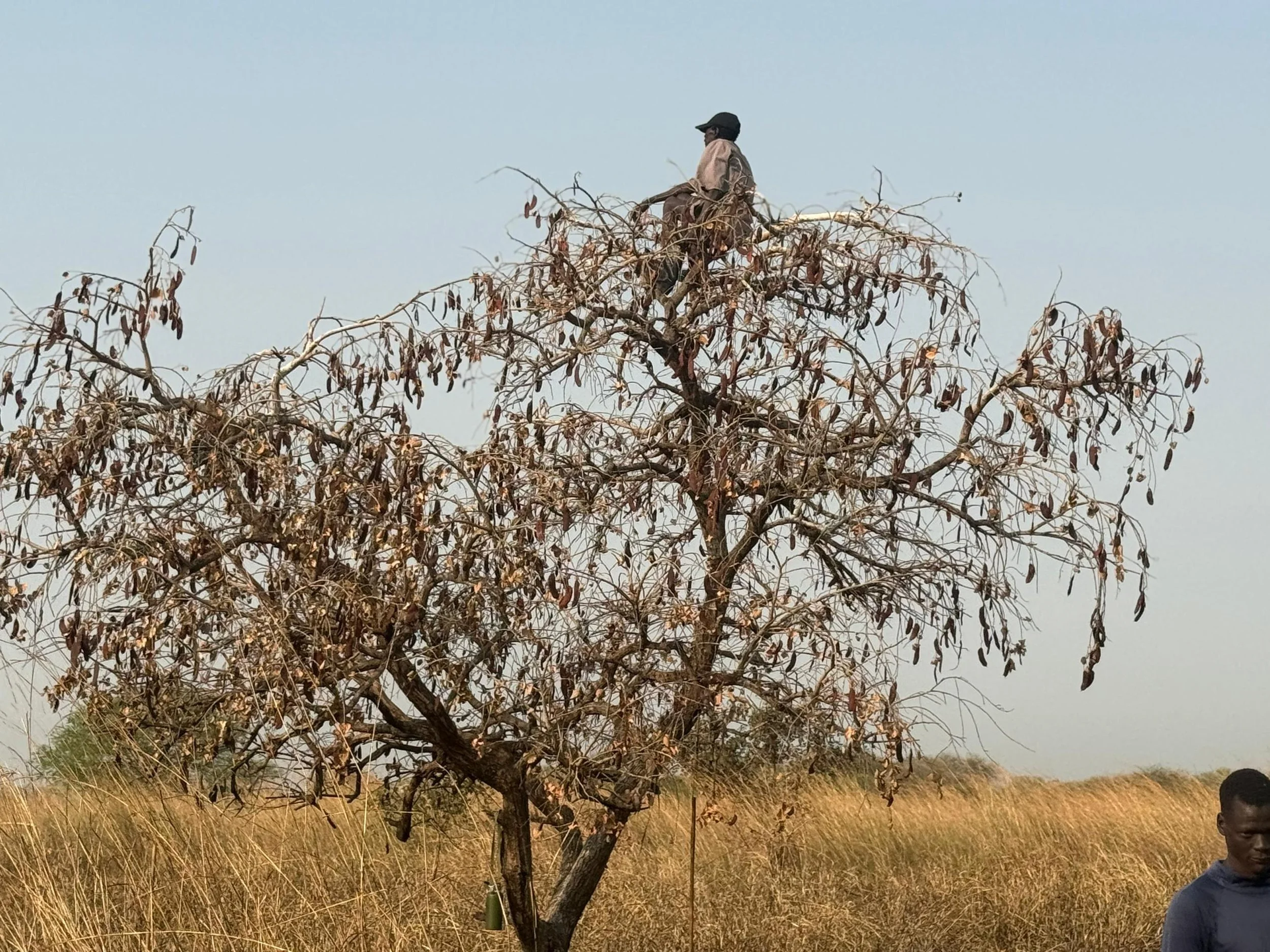 'Seeing far, early, and cleary'