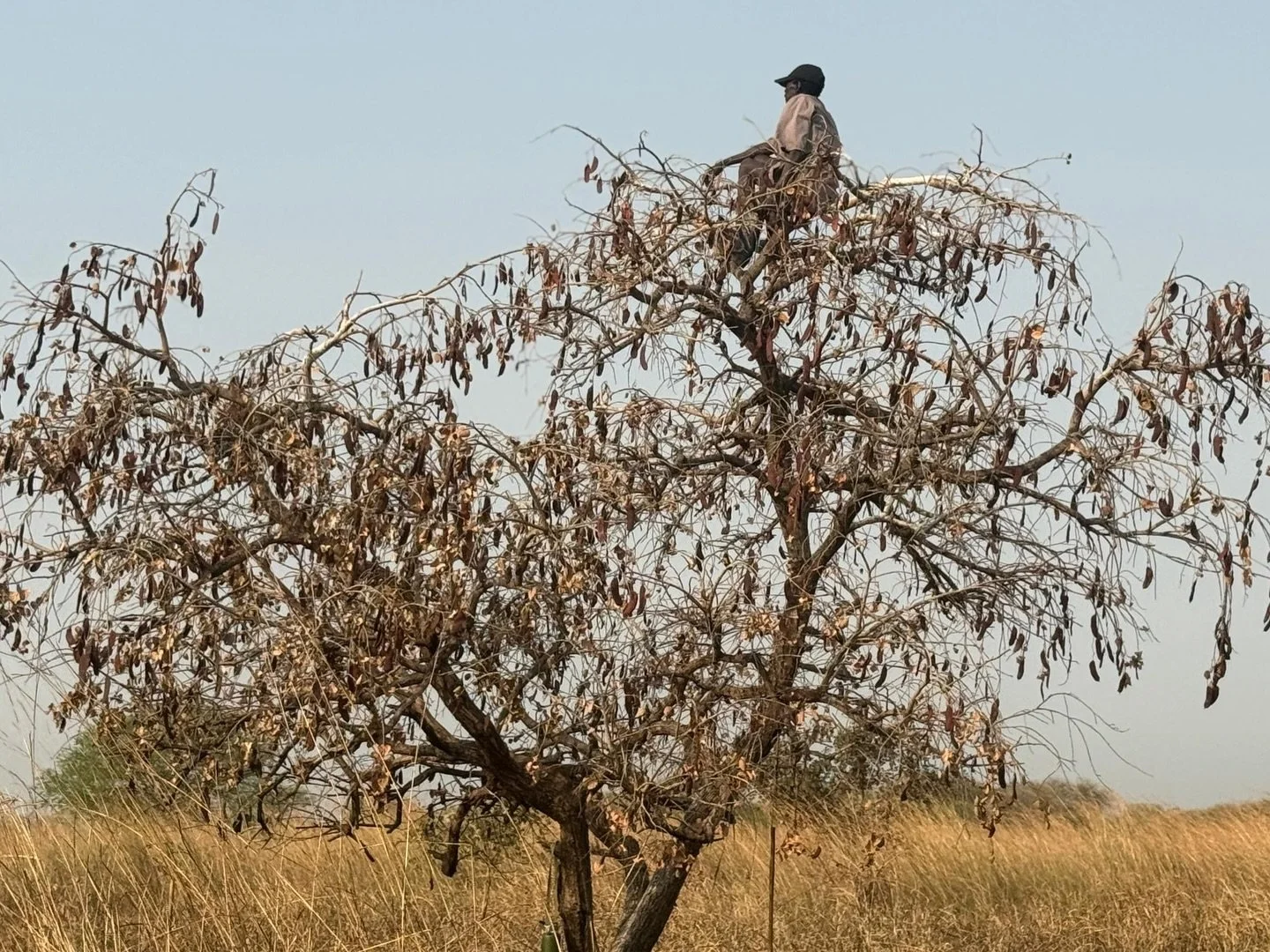 Day 8-9

After the diversion towards the water points of the main road on the Makol Cuei-Manyabol route, the groups decided that the follow-up engagements in Manayabol and Makol Cuei with mixed groups were not the immediate priority (whether this was