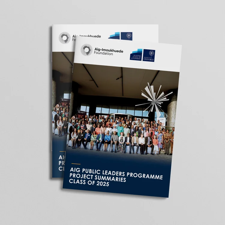 AIG Public Leaders Programme - Aig-Imoukhuede Foundation