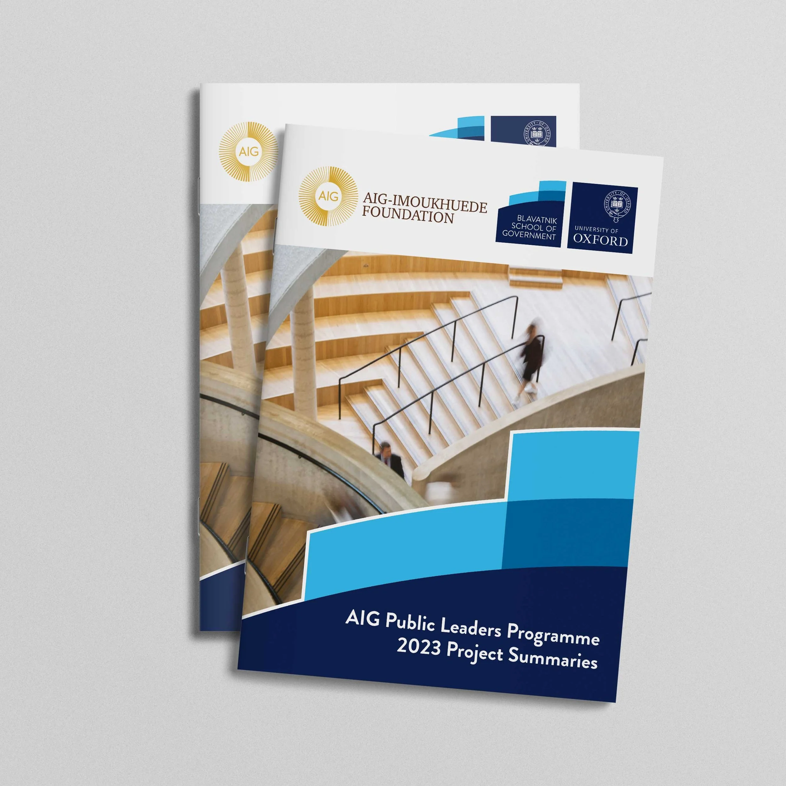 AIG Public Leaders Programme - Aig-Imoukhuede Foundation