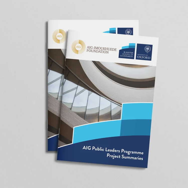 AIG Public Leaders Programme - Aig-Imoukhuede Foundation