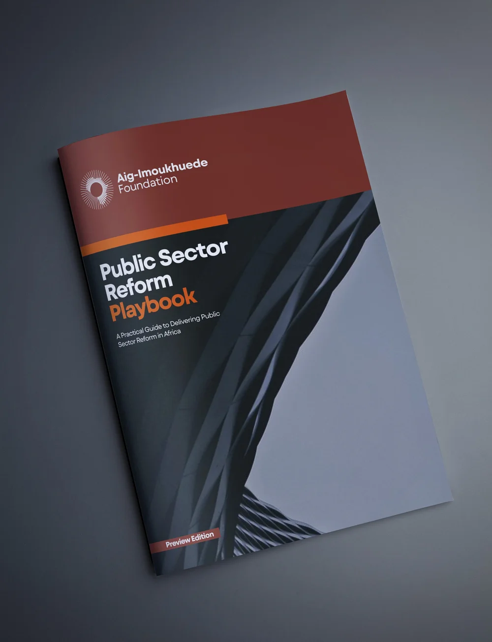Program Project Reform Public Sector Reforms Playbook - Aig-Imoukhuede Foundation