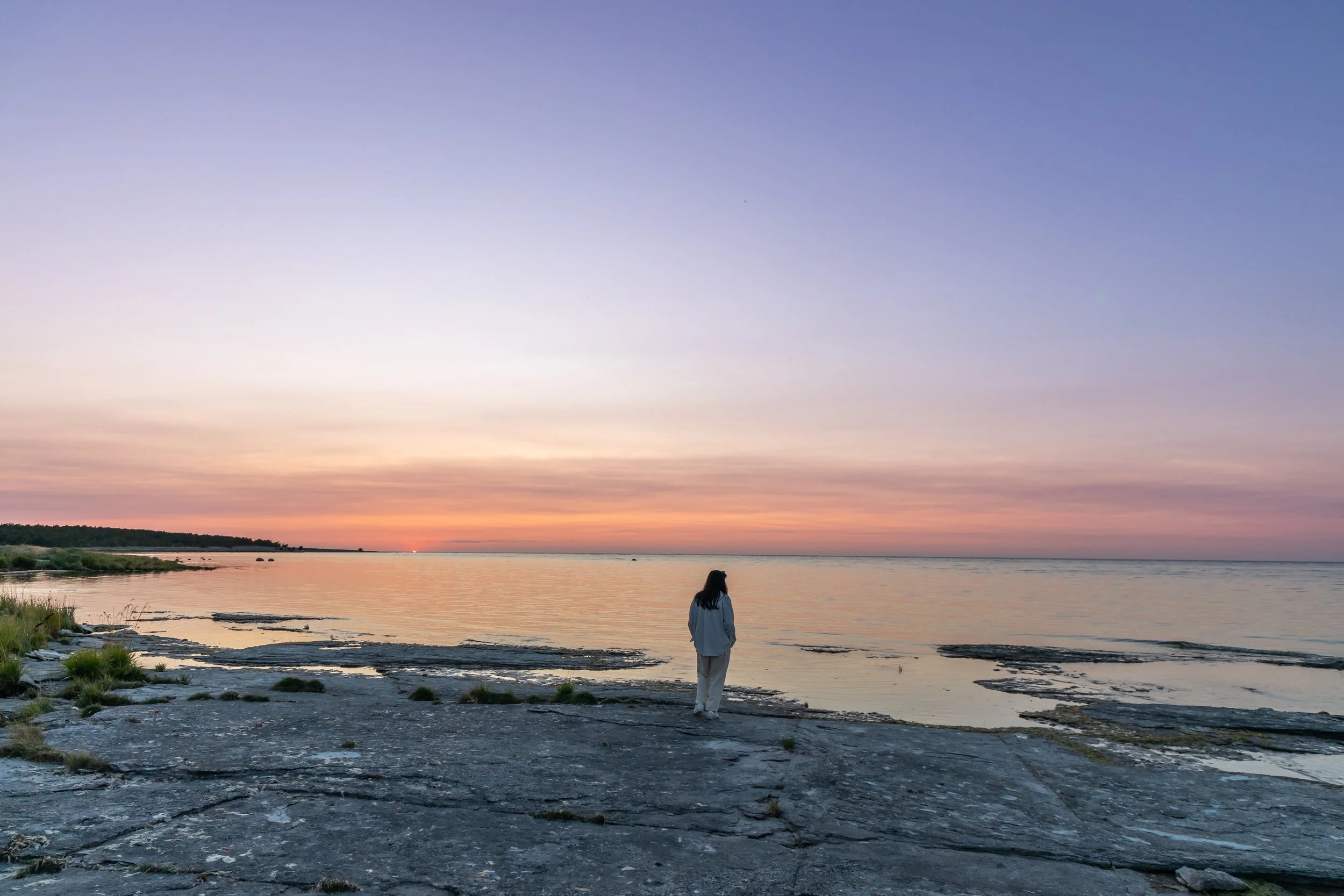 _56A3450-2.jpg
