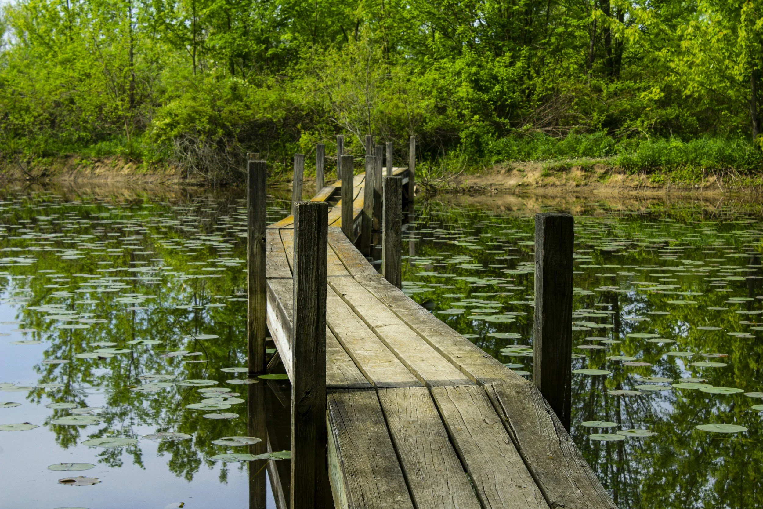 Navigating the Transition to Single Parenthood After Divorce