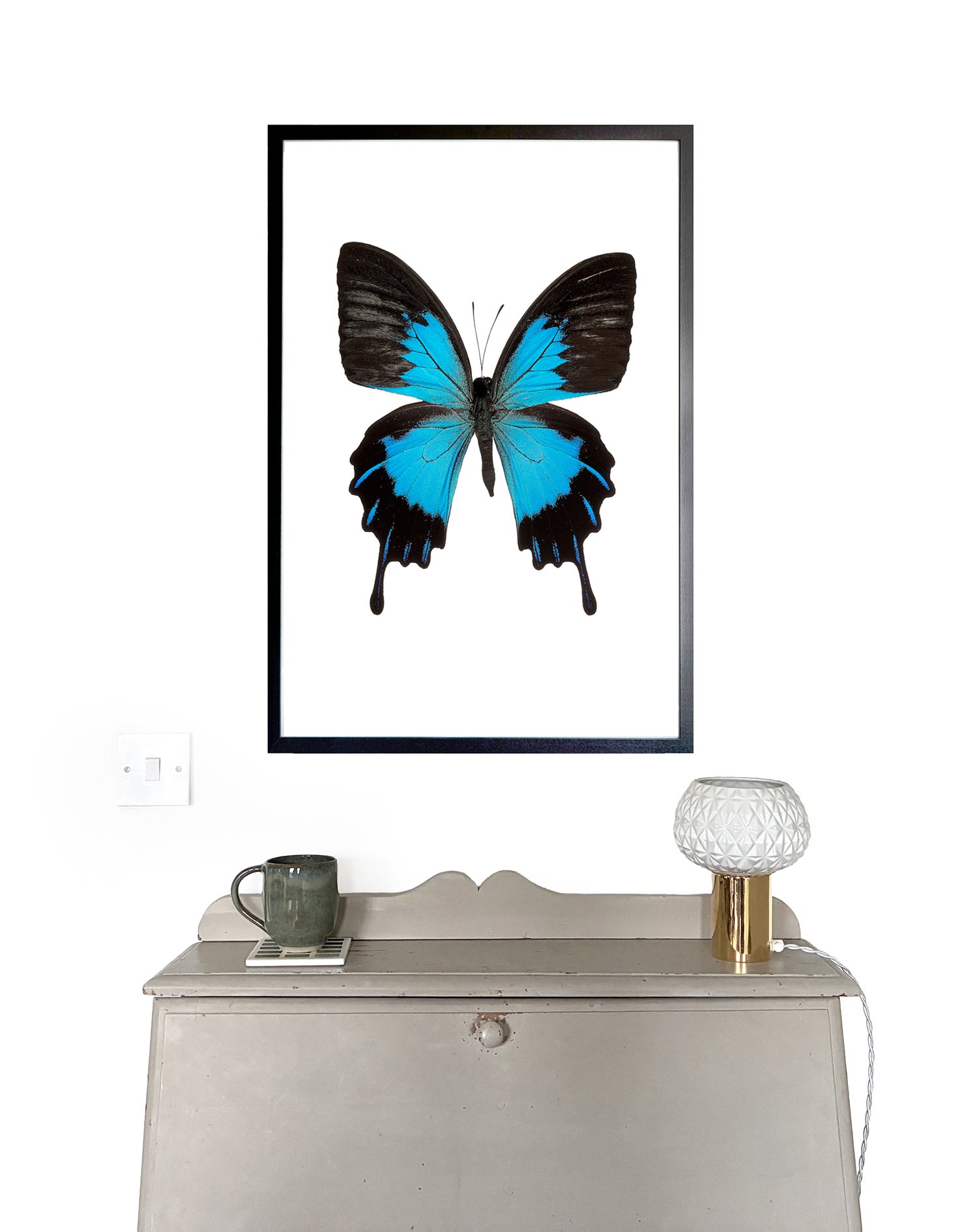 BlueButterfly_INSITU.1.jpg