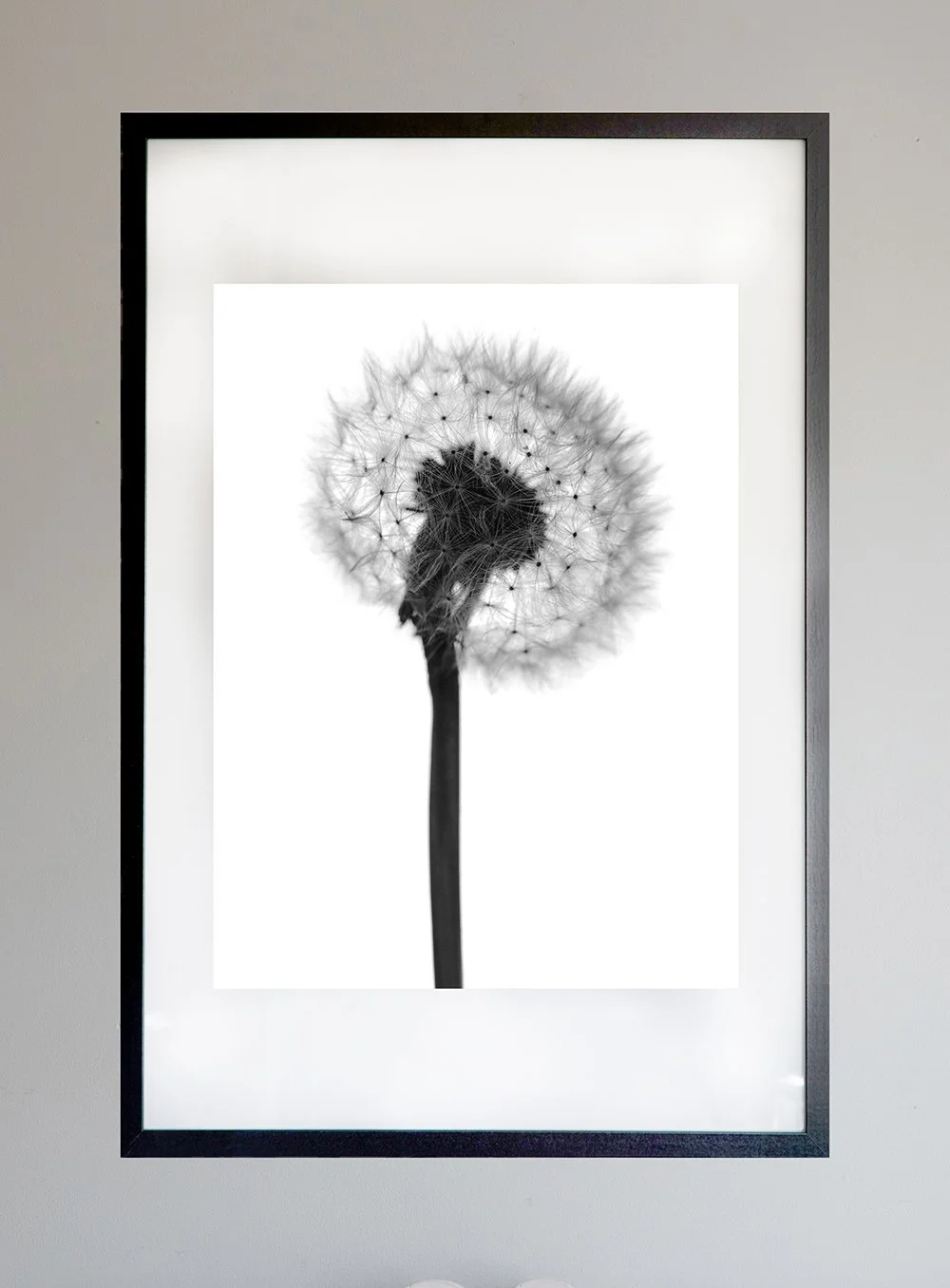 FramedDandelion.1.jpg