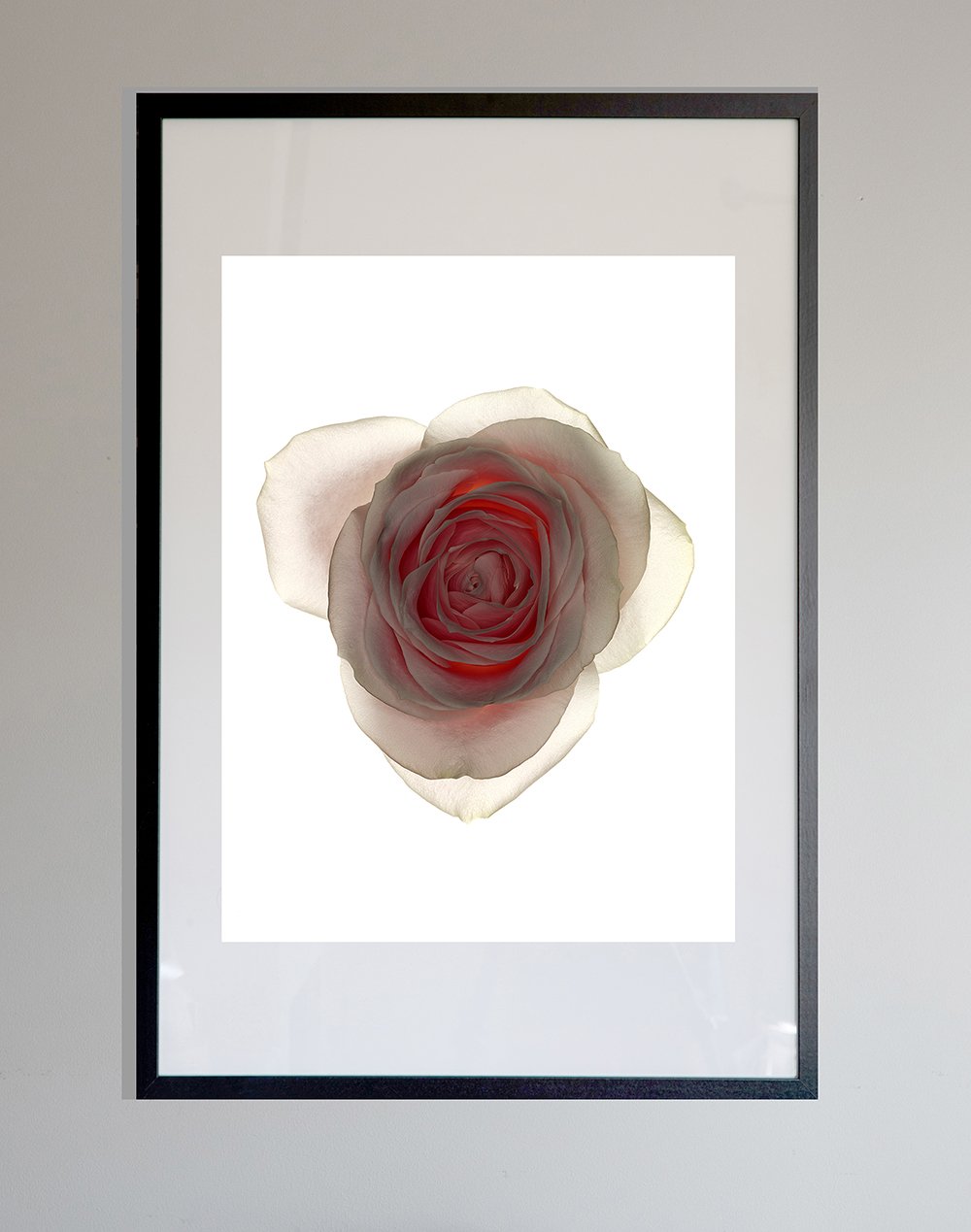 FramedPrintRose.jpg
