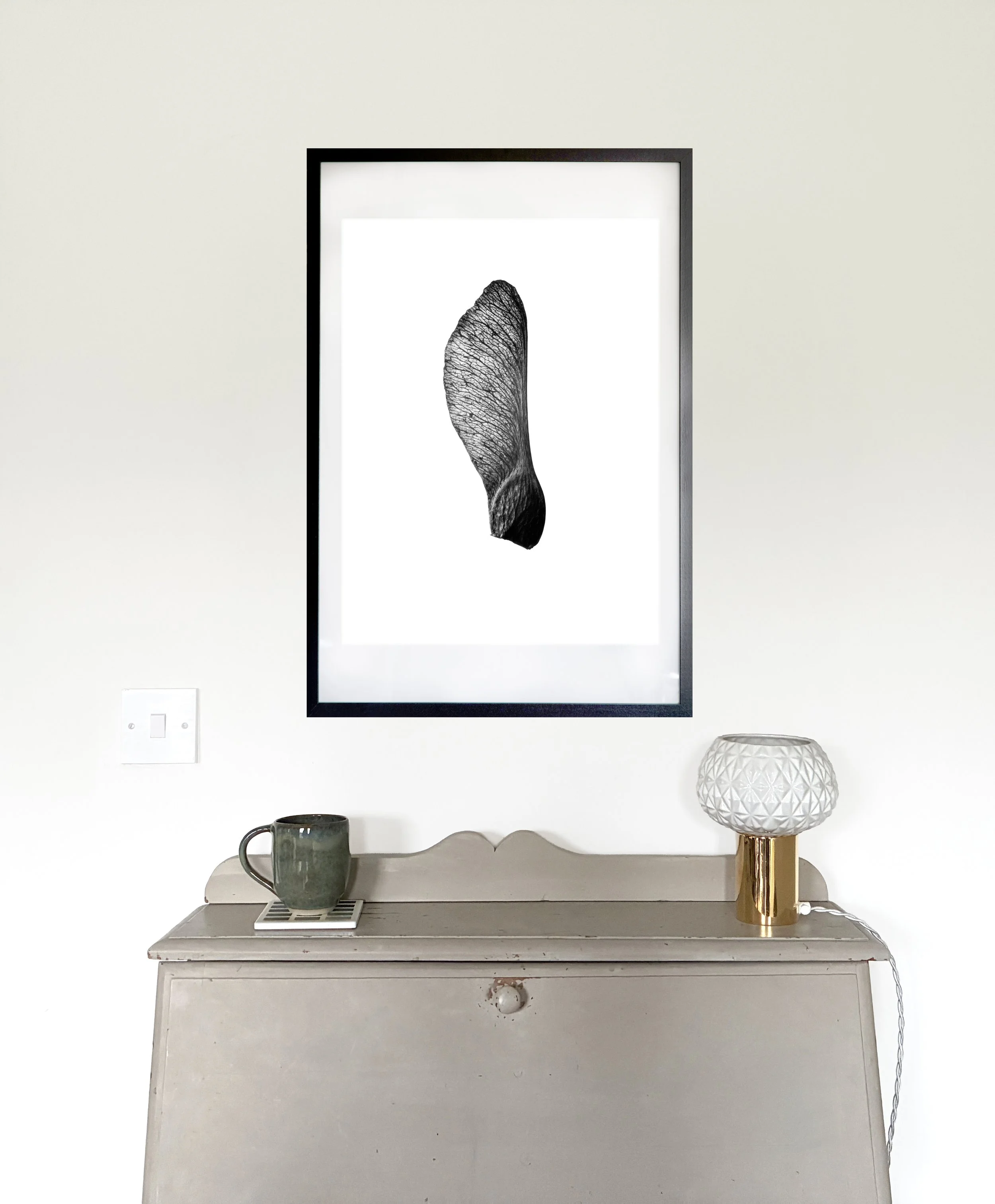 Sycamore_1INSITU_.jpg