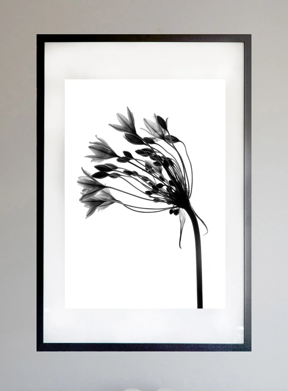 SilhouetteFlowerFrame.jpg