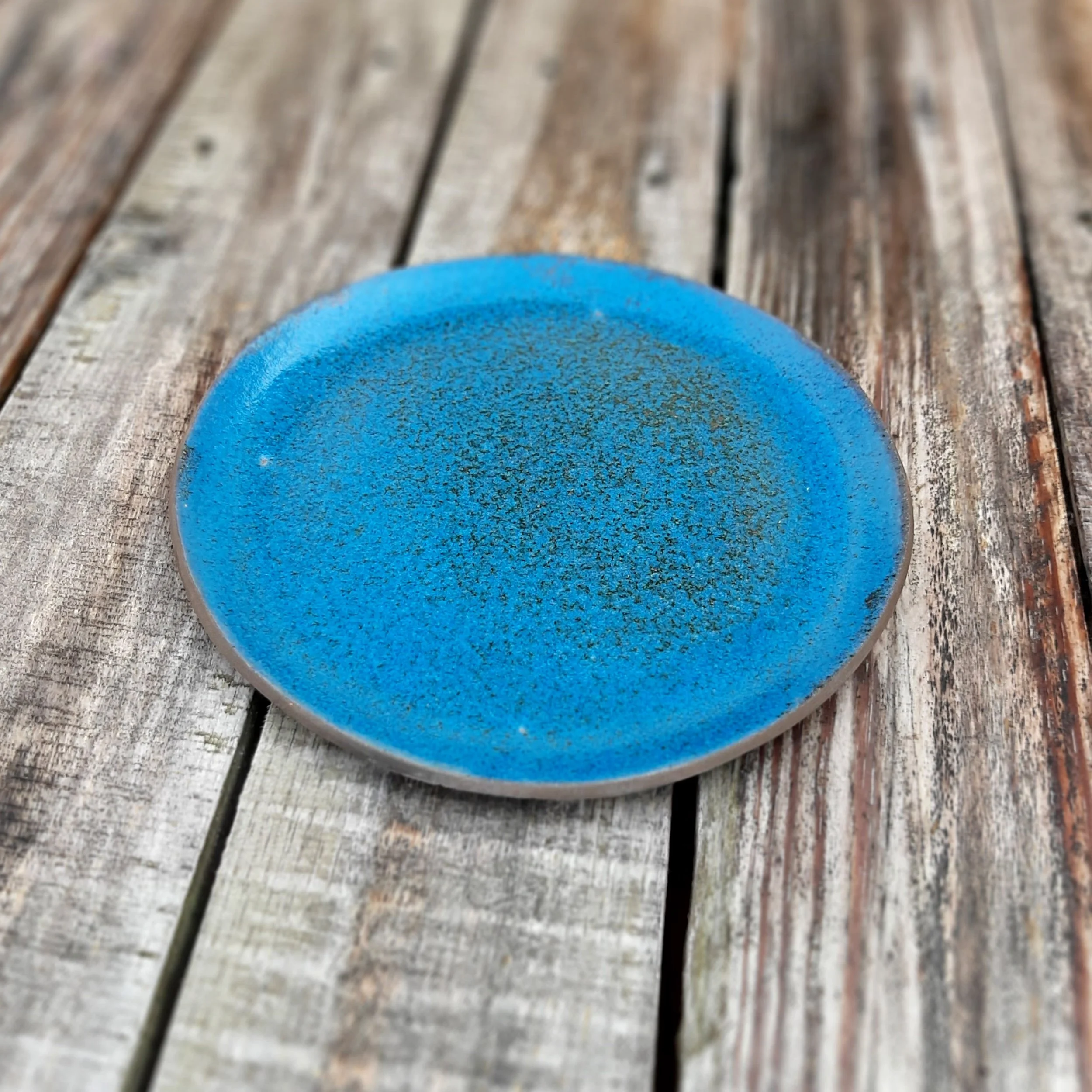 assiette bleu TN 10.jpg