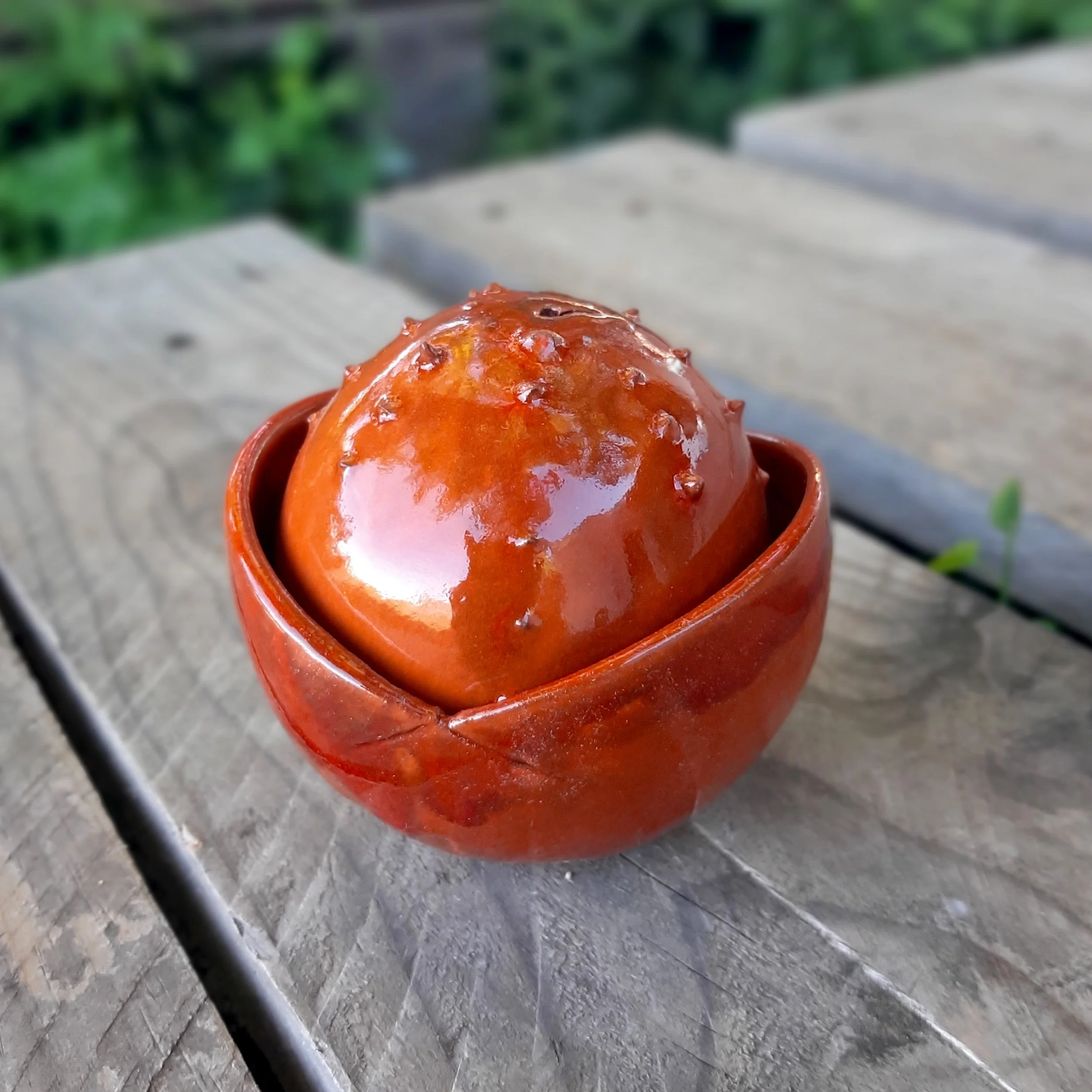 PE orange papaya 7.jpg